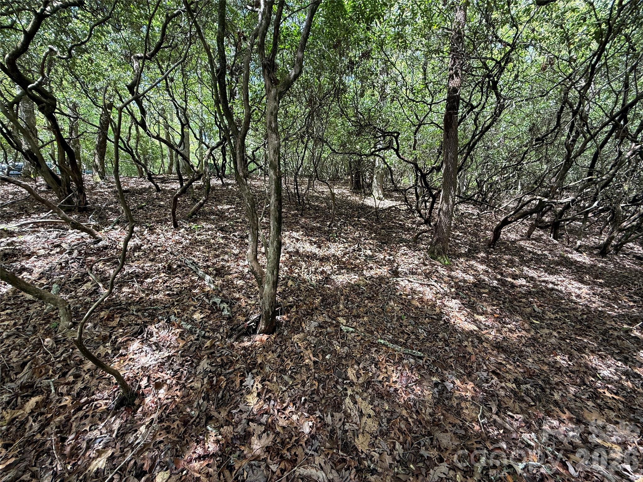 Tbd Tellico Trail 42/22 Property Photo 3