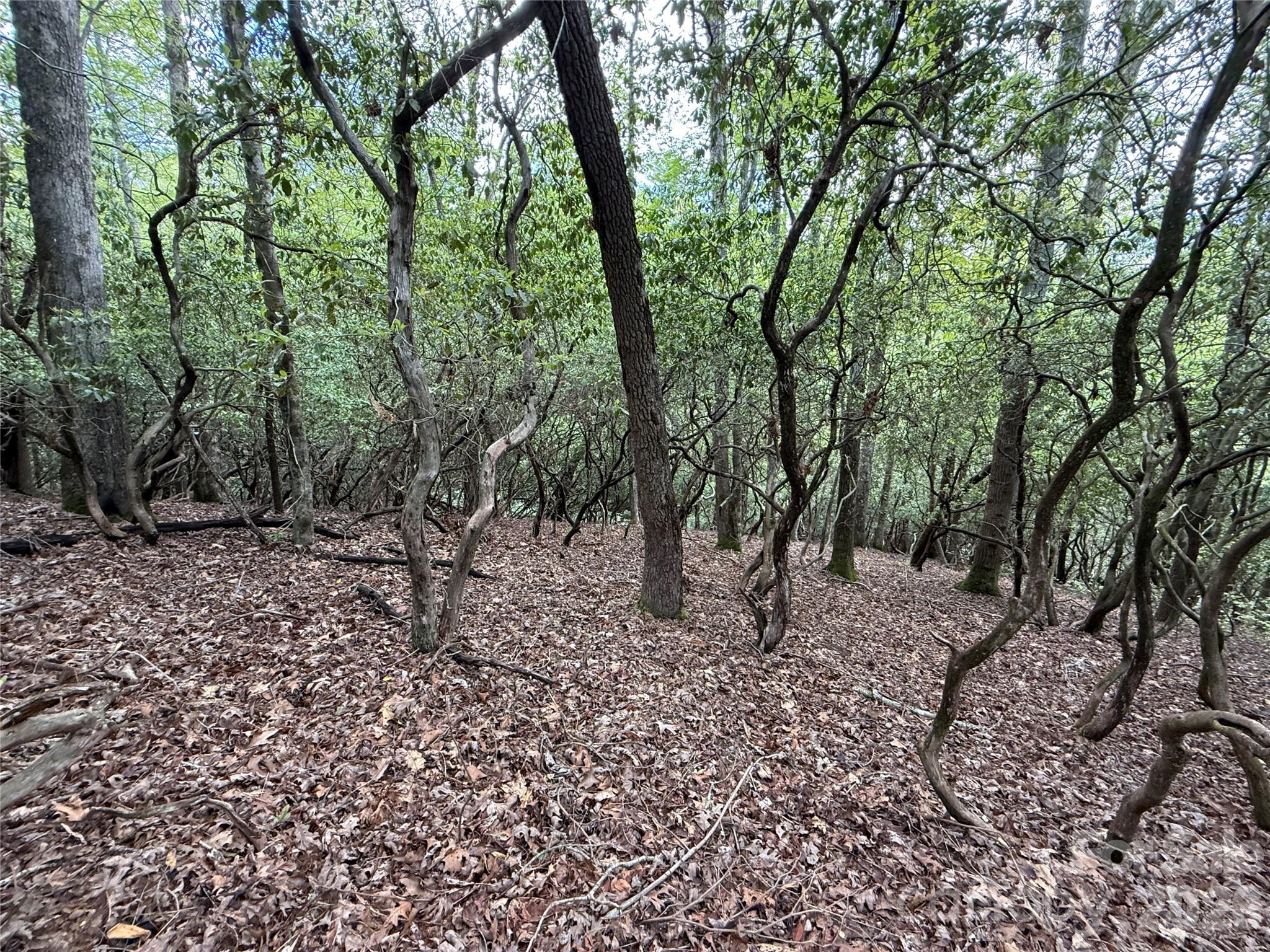 Tbd Tellico Trail 42/22 Property Photo 6