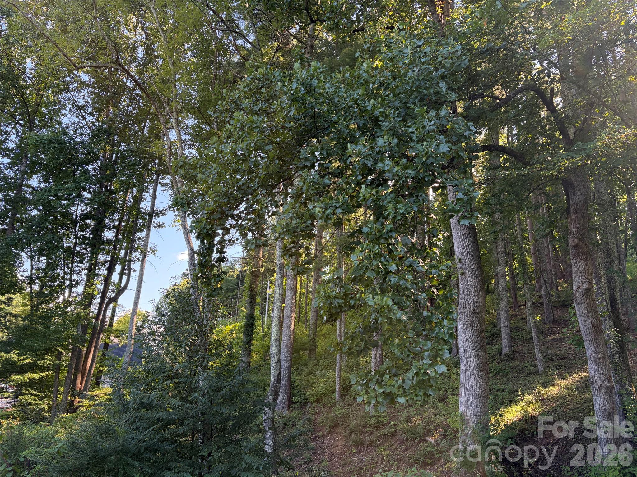 51 Barebridge Fields Road 51 Property Photo 12