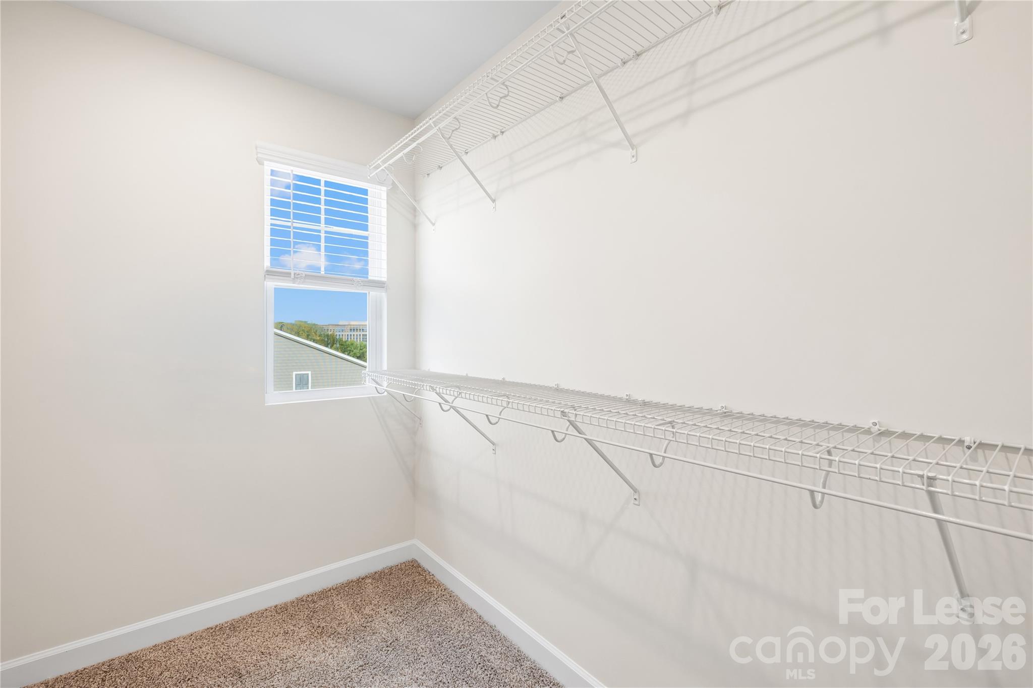 4421064 Property Photo 21