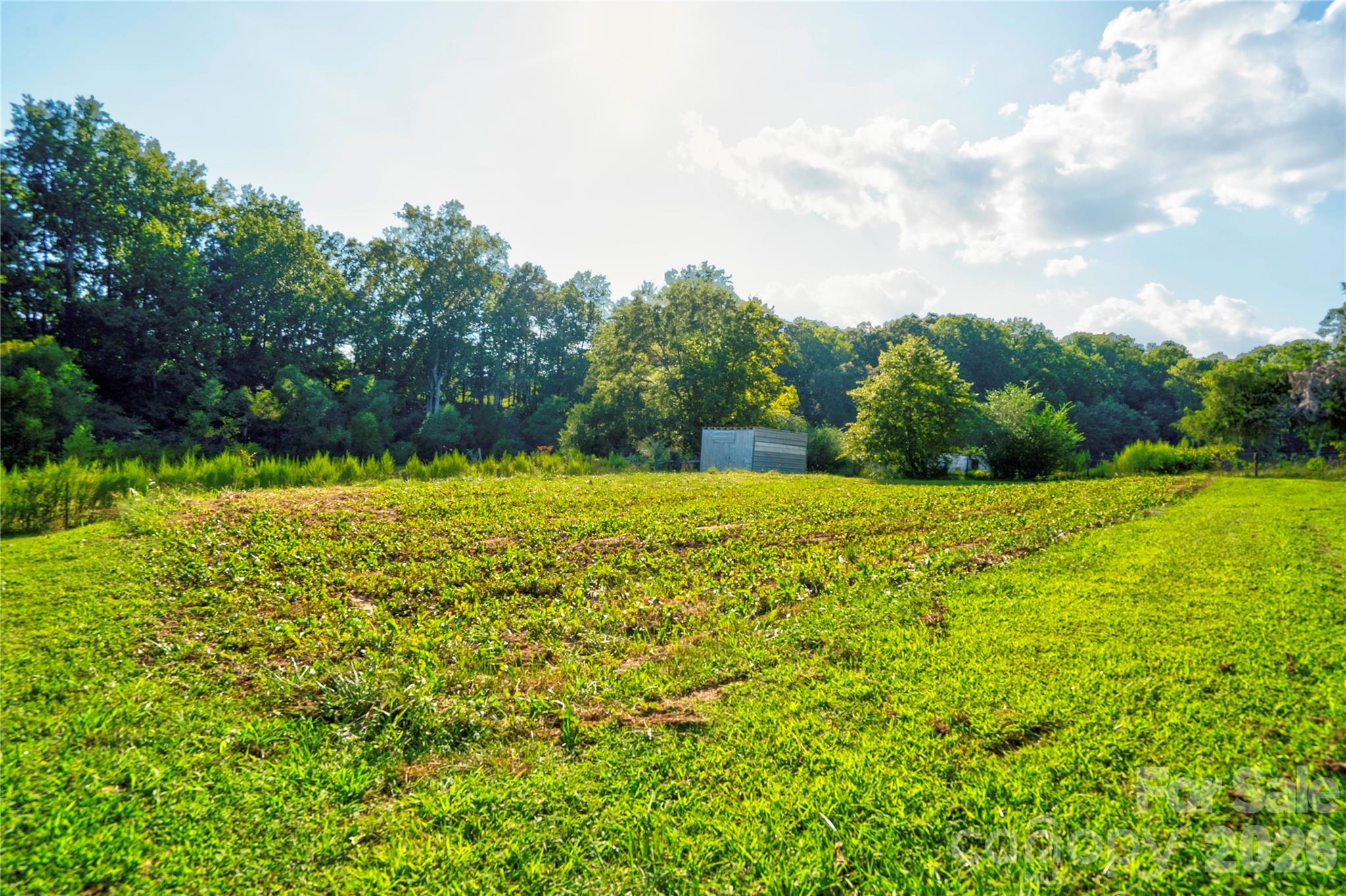113 Idlewood Court Property Photo 39