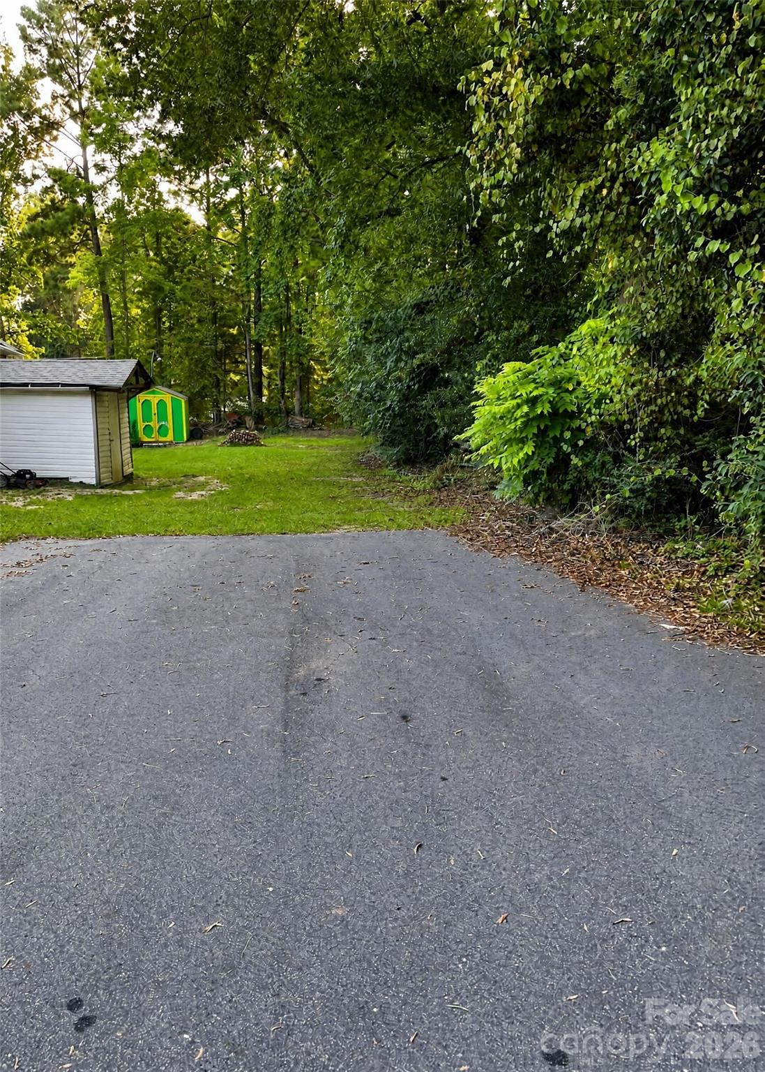 816 Skyland Street Property Photo 16