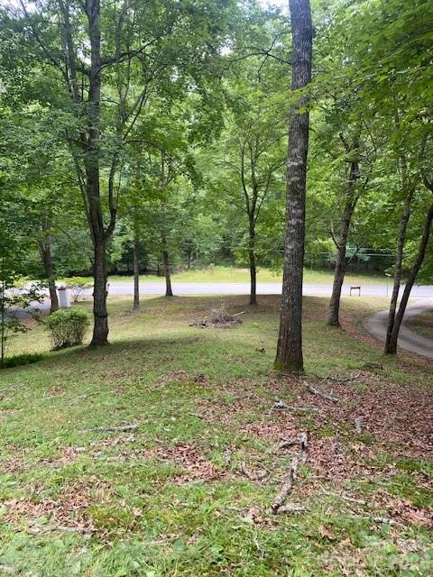 60 Hundred Acre Woods Property Photo 13