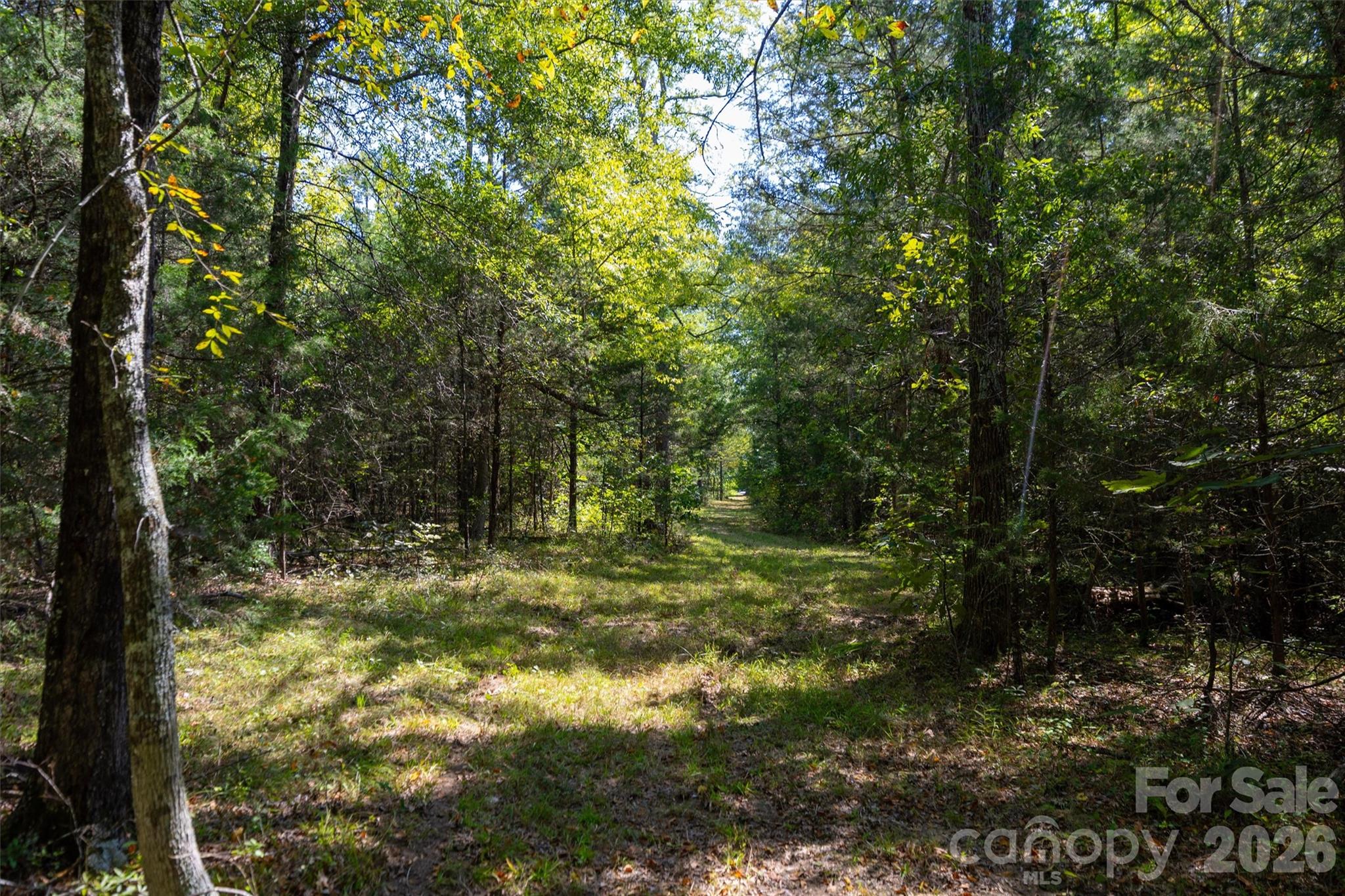 00 Old Bradshaw Road Property Photo 1