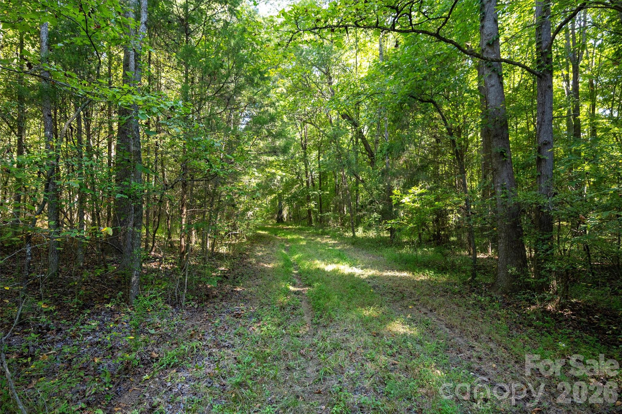 00 Old Bradshaw Road Property Photo 11