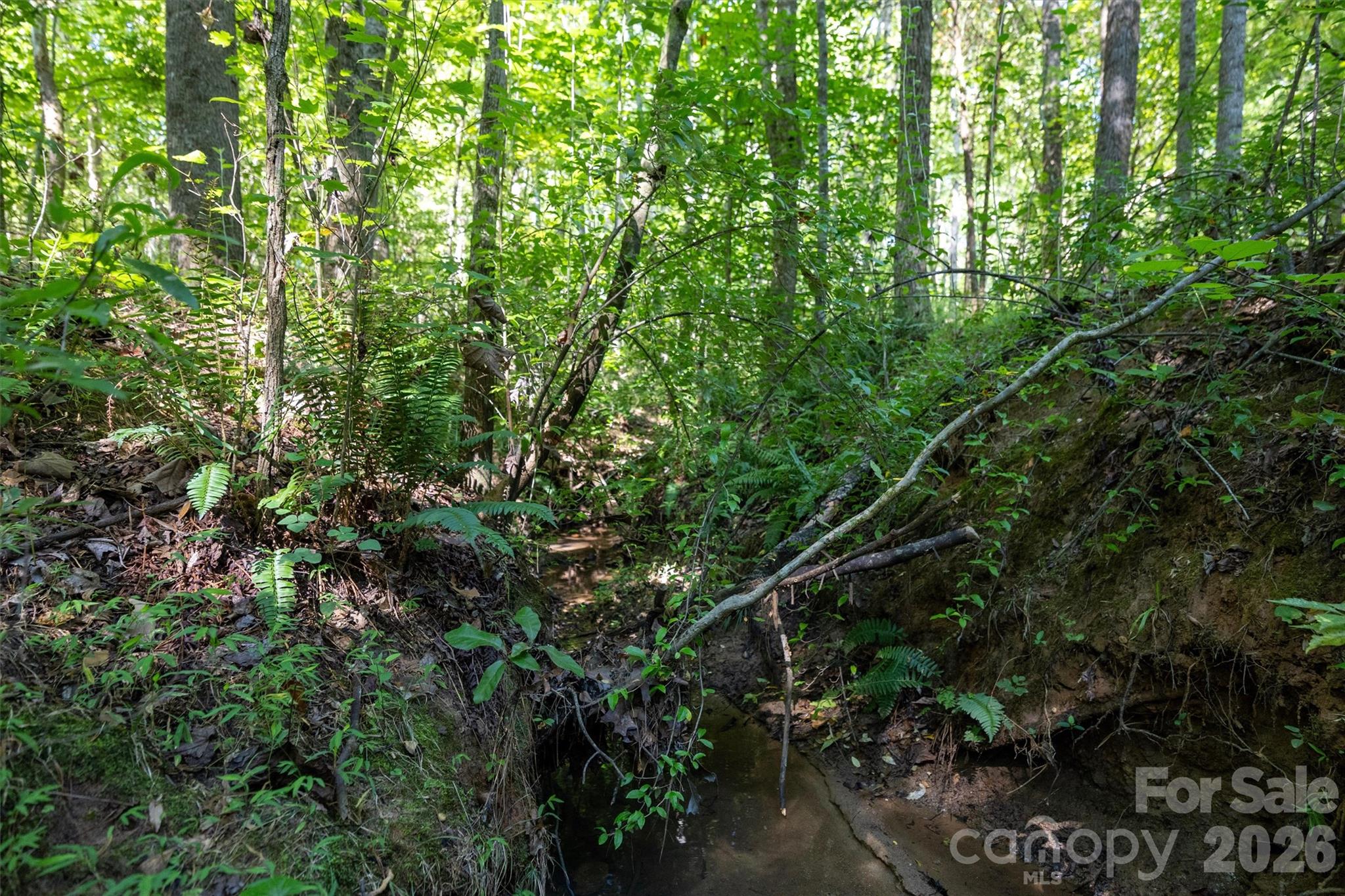 00 Old Bradshaw Road Property Photo 14