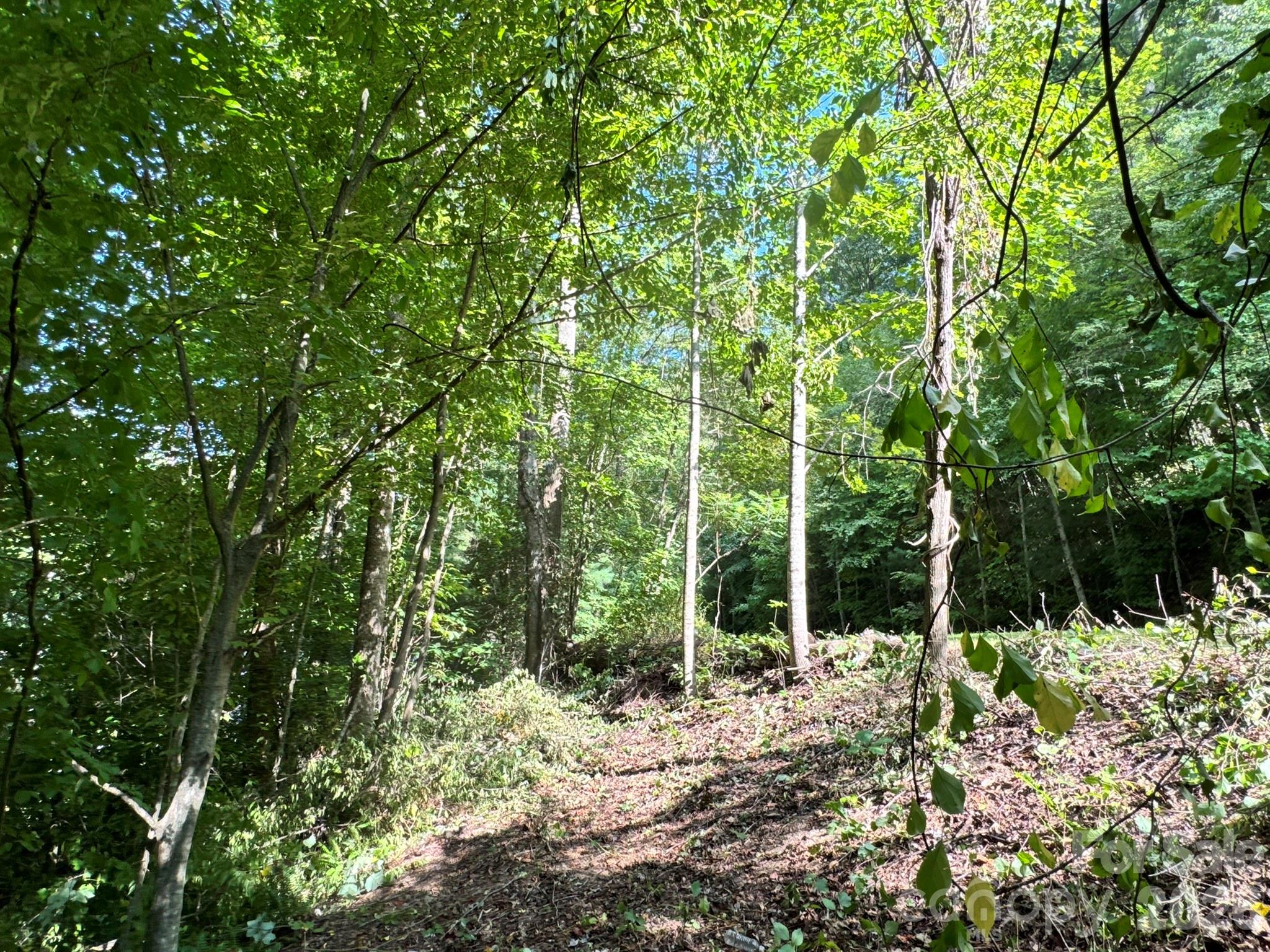19 Garren View Drive Property Photo 12