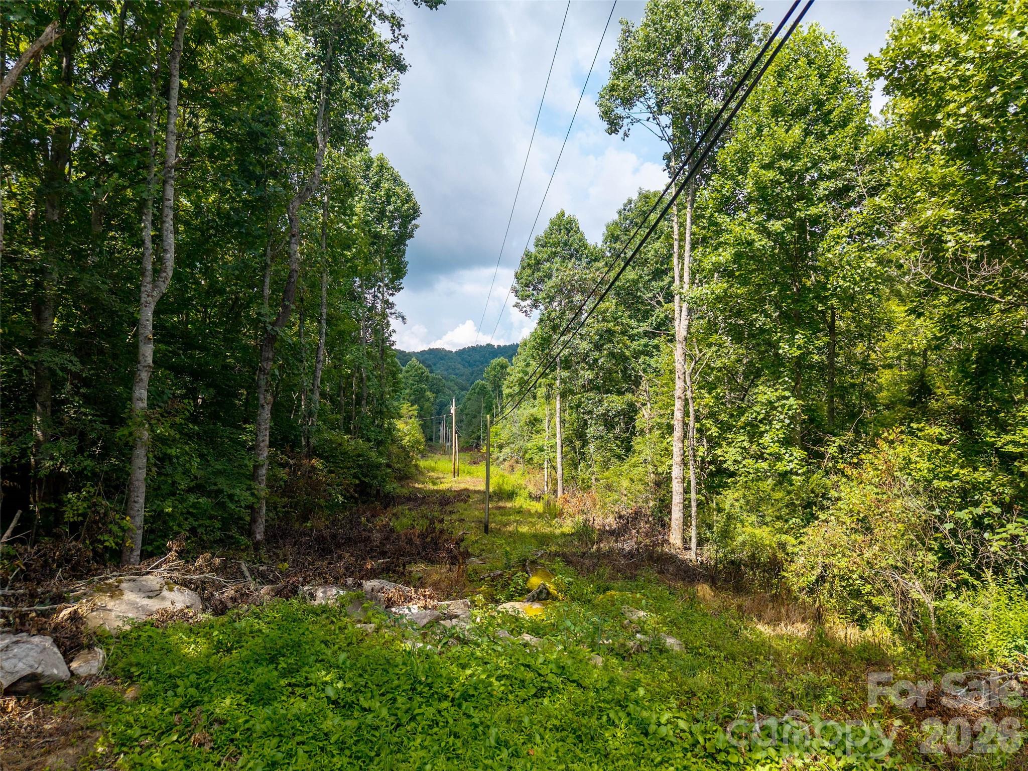 00 Sugar Cove Road Property Photo 4