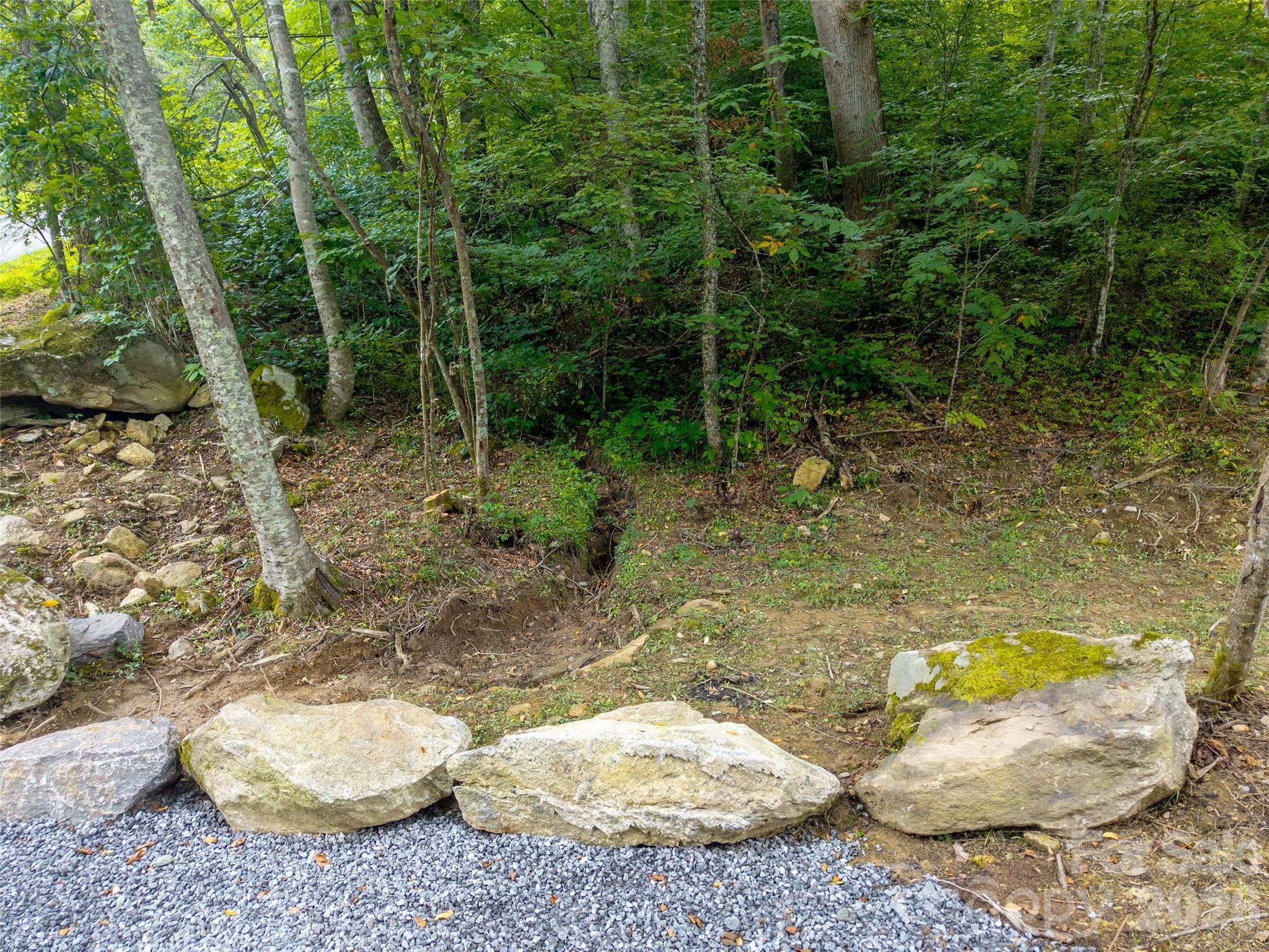 00 Sugar Cove Road Property Photo 15
