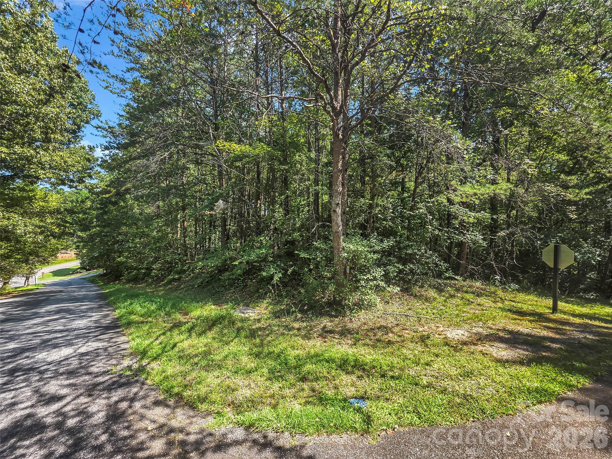 0 Shumont Estates Drive 1 Property Photo 4