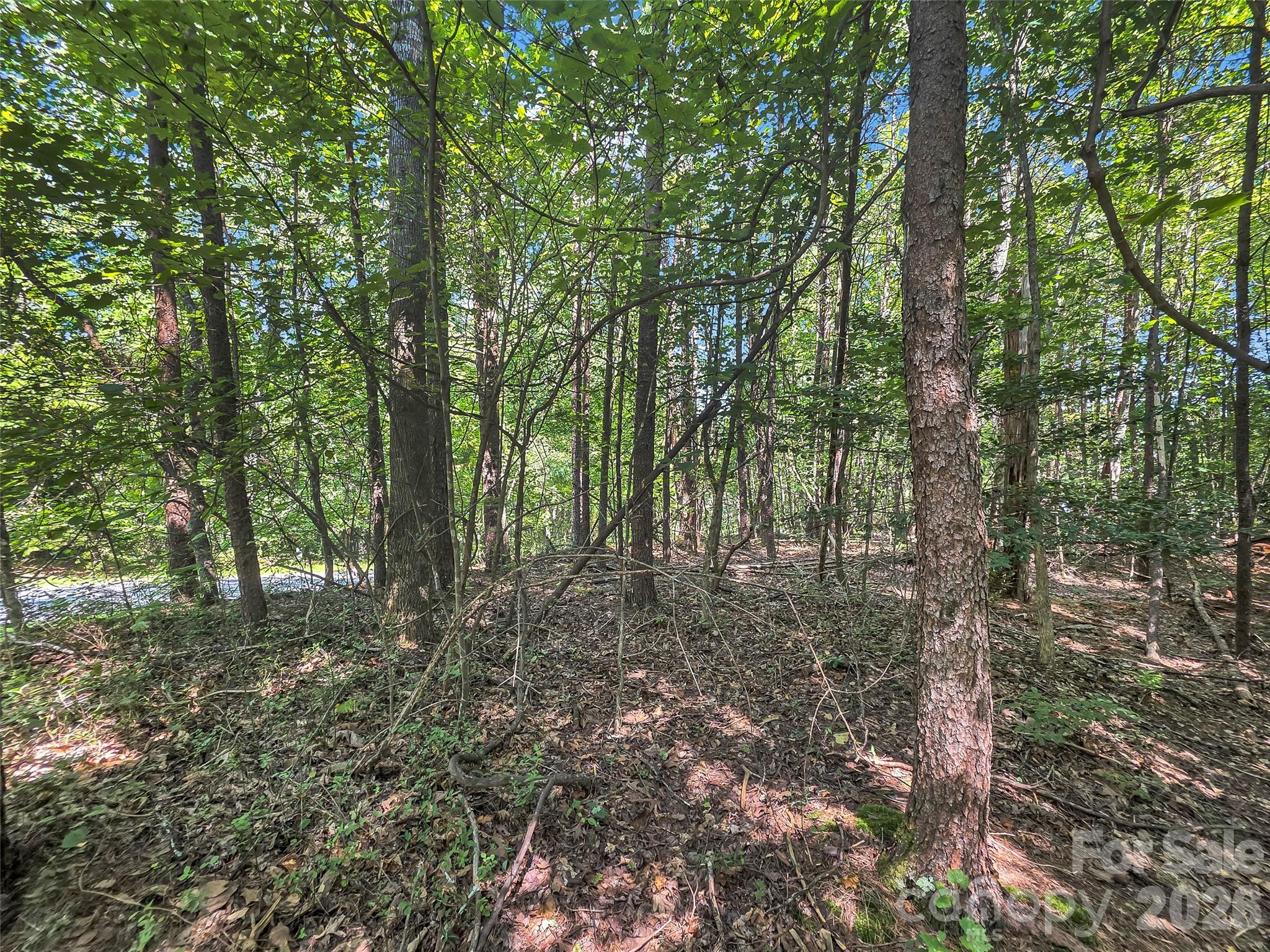 0 Shumont Estates Drive 1 Property Photo 8