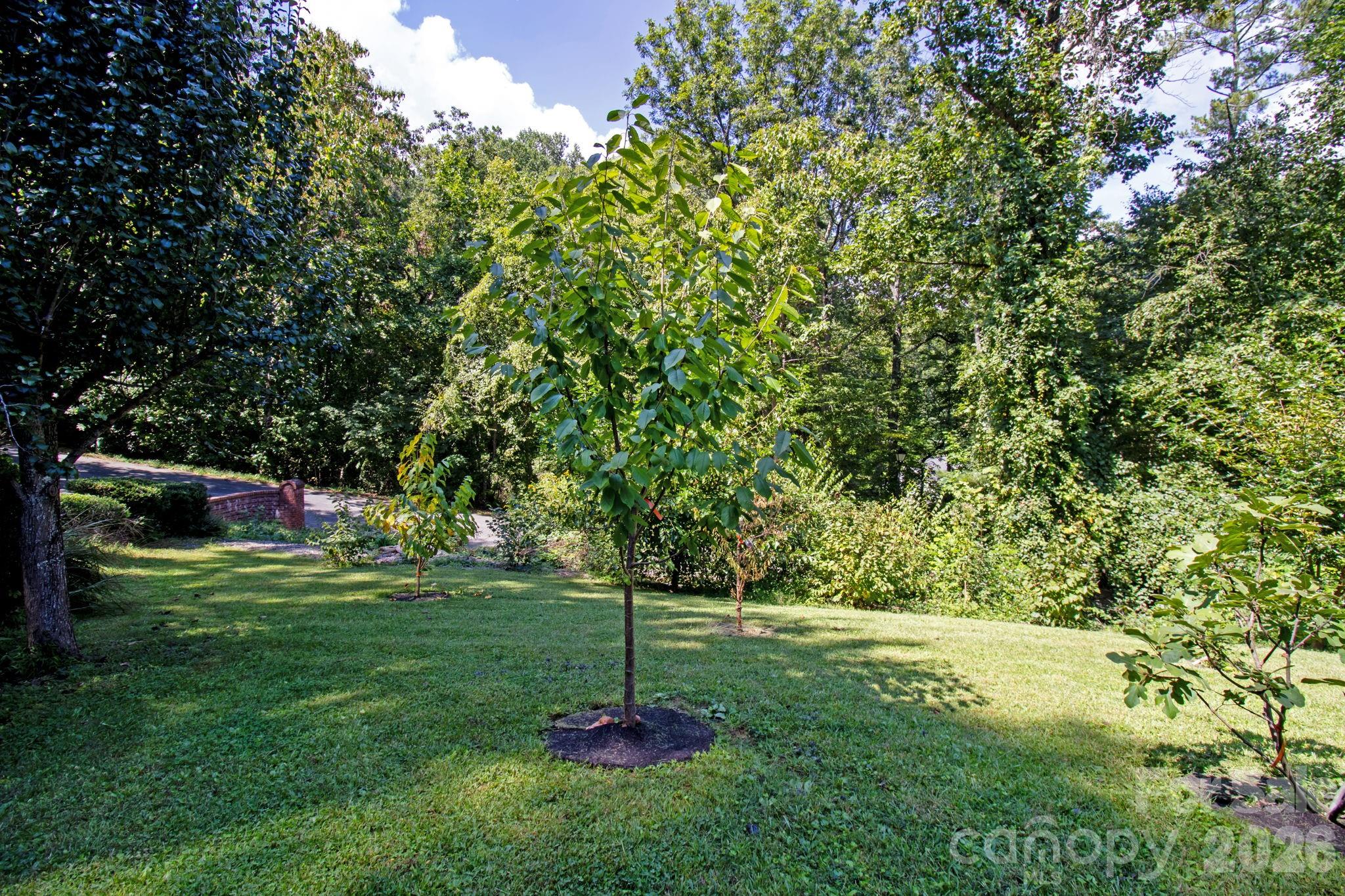 6 Kit Court Property Photo 44
