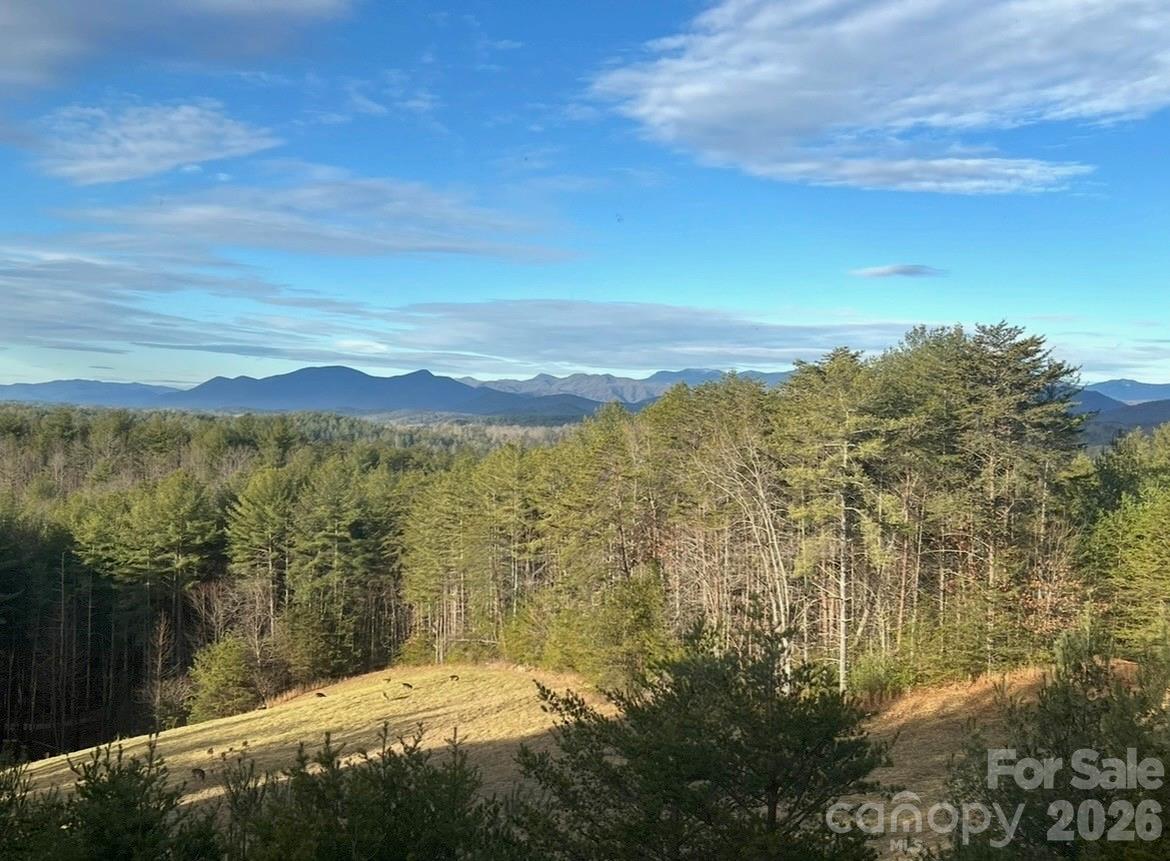 2775 Campbells Trace Property Photo 4