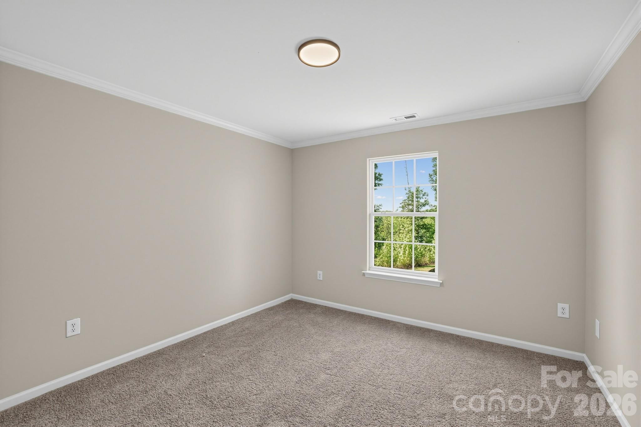 448 Webb Road Property Photo 19