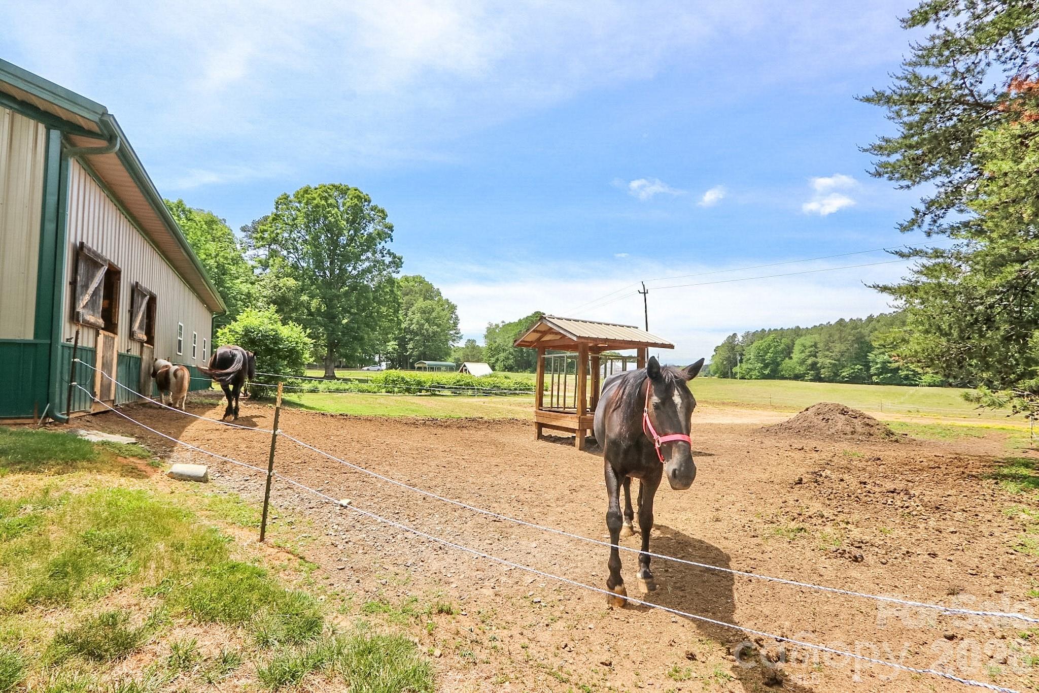 4844 Saint Paul Church Road Property Photo 44