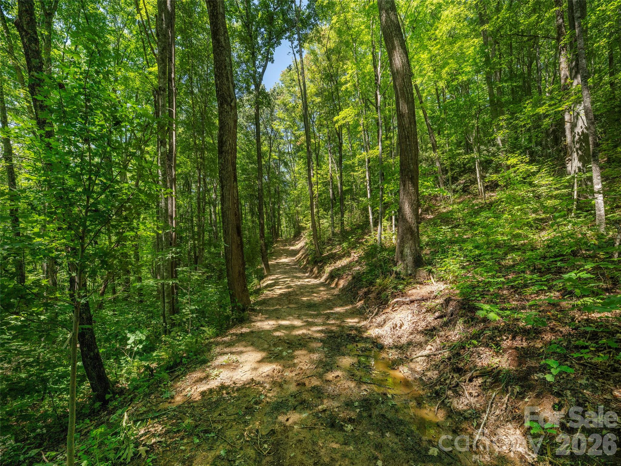 433 Rockmont Road Property Photo 5