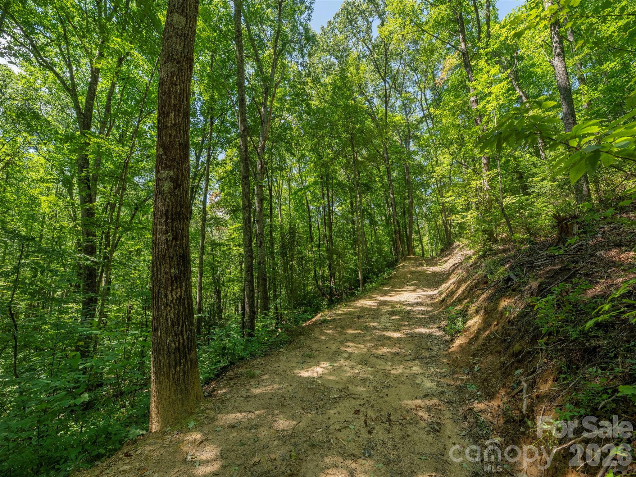 433 Rockmont Road Property Photo 6