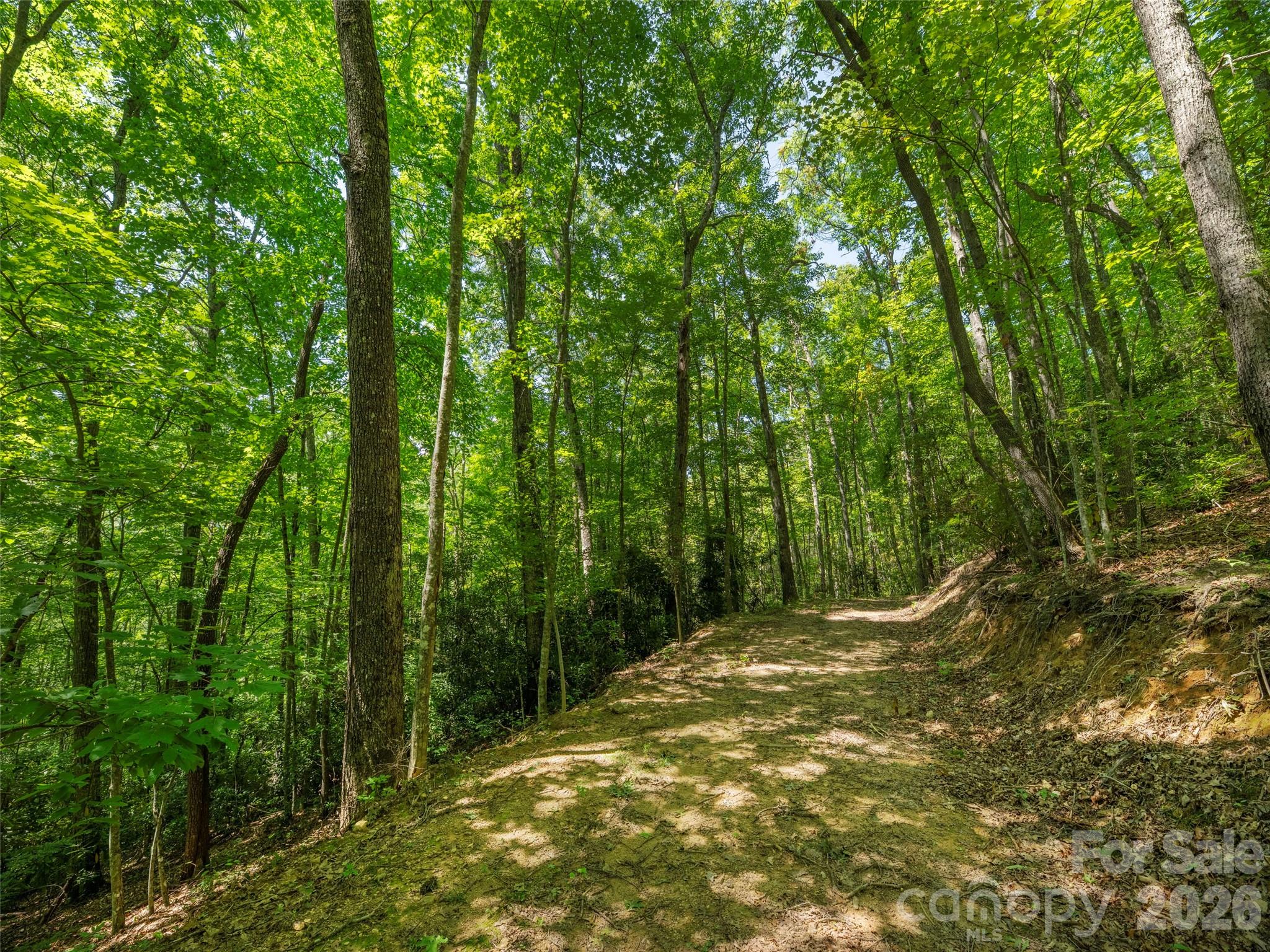 433 Rockmont Road Property Photo 7