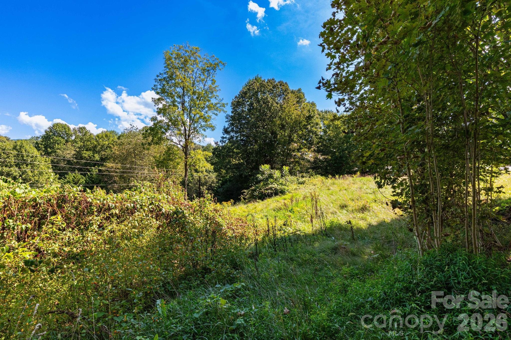 9999 Foxfire Estates Circle Property Photo 4