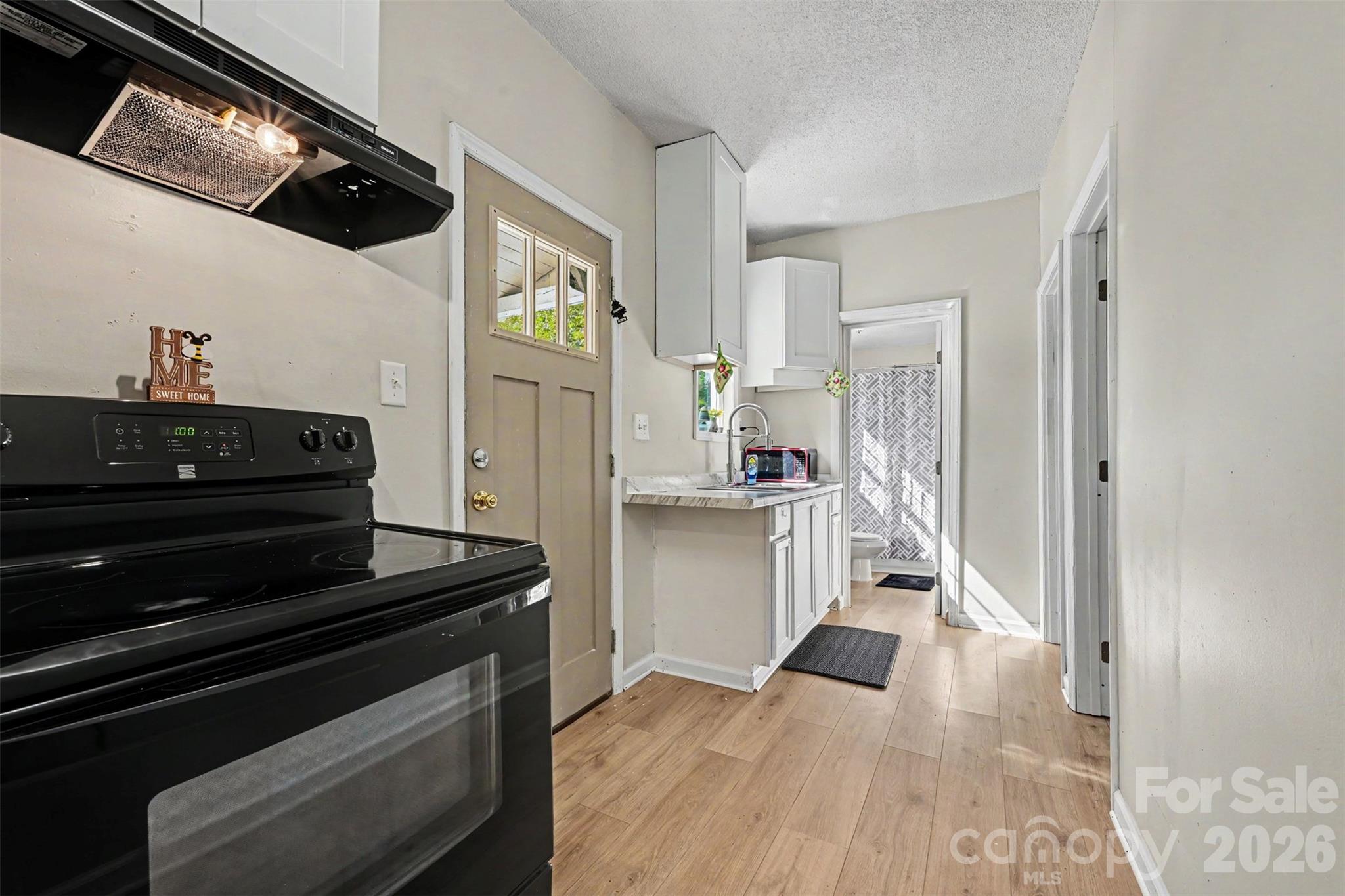 132 Loomis Street Property Photo 20