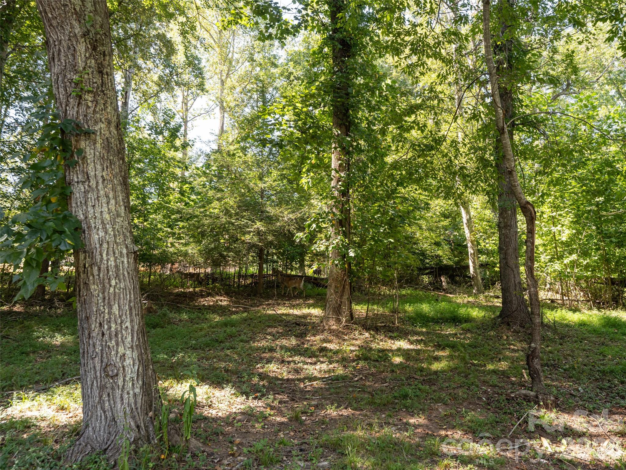 26 Audrey Lane Property Photo 34
