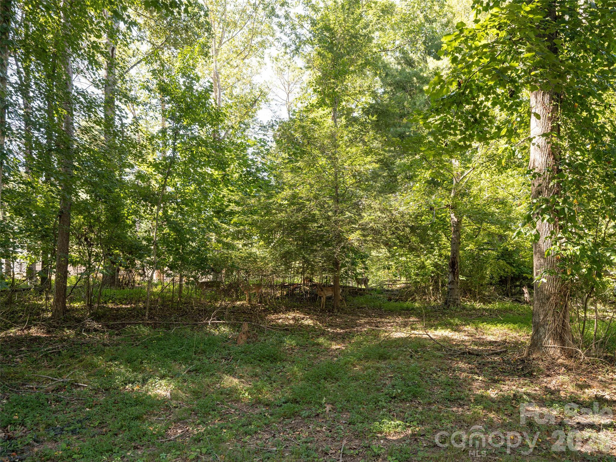 26 Audrey Lane Property Photo 35