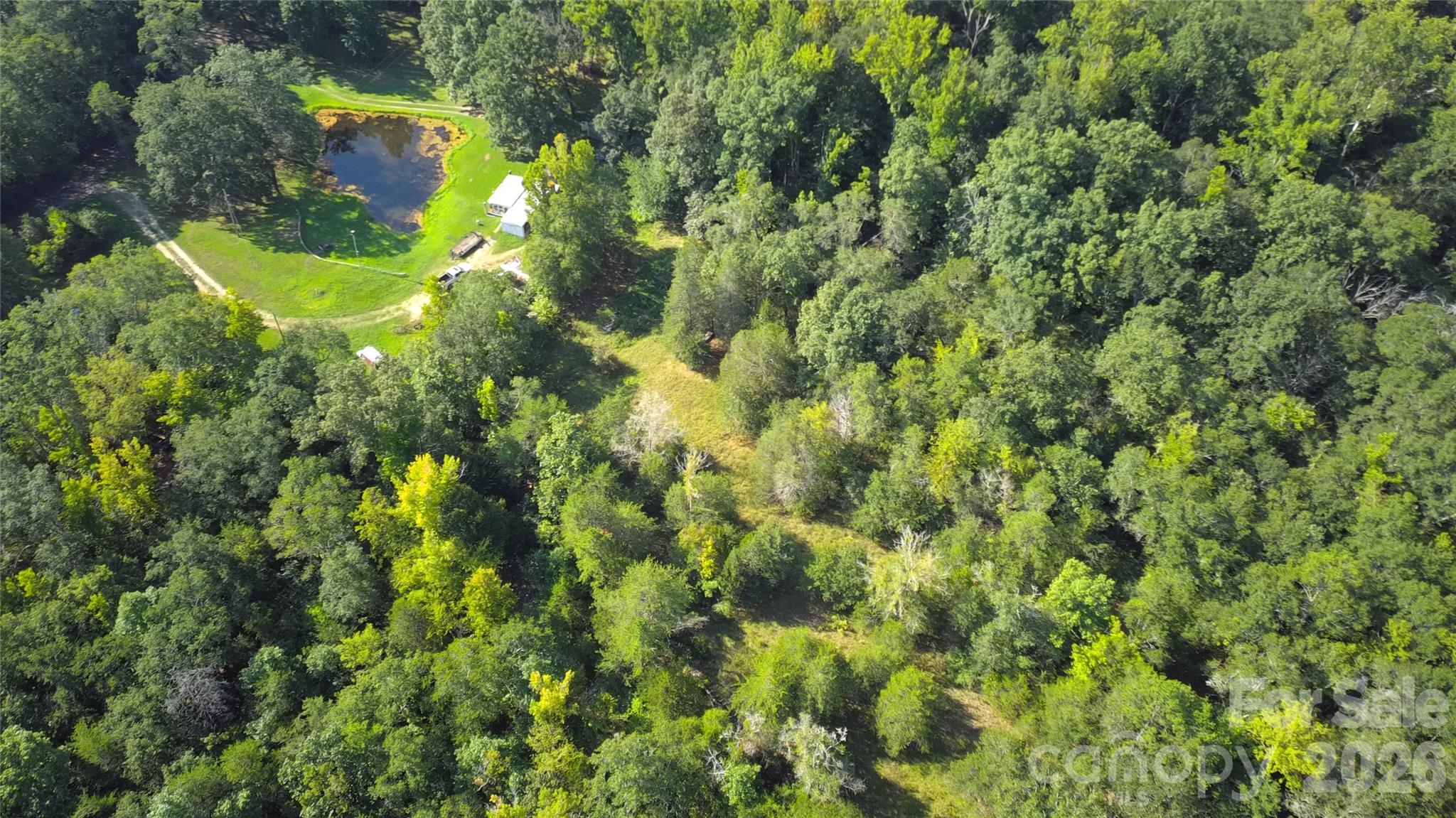 750 Blue Branch Road
