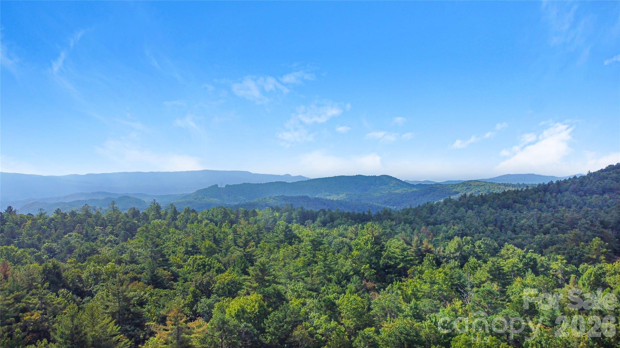 97 Toxaway Views Drive 704 Property Photo 21
