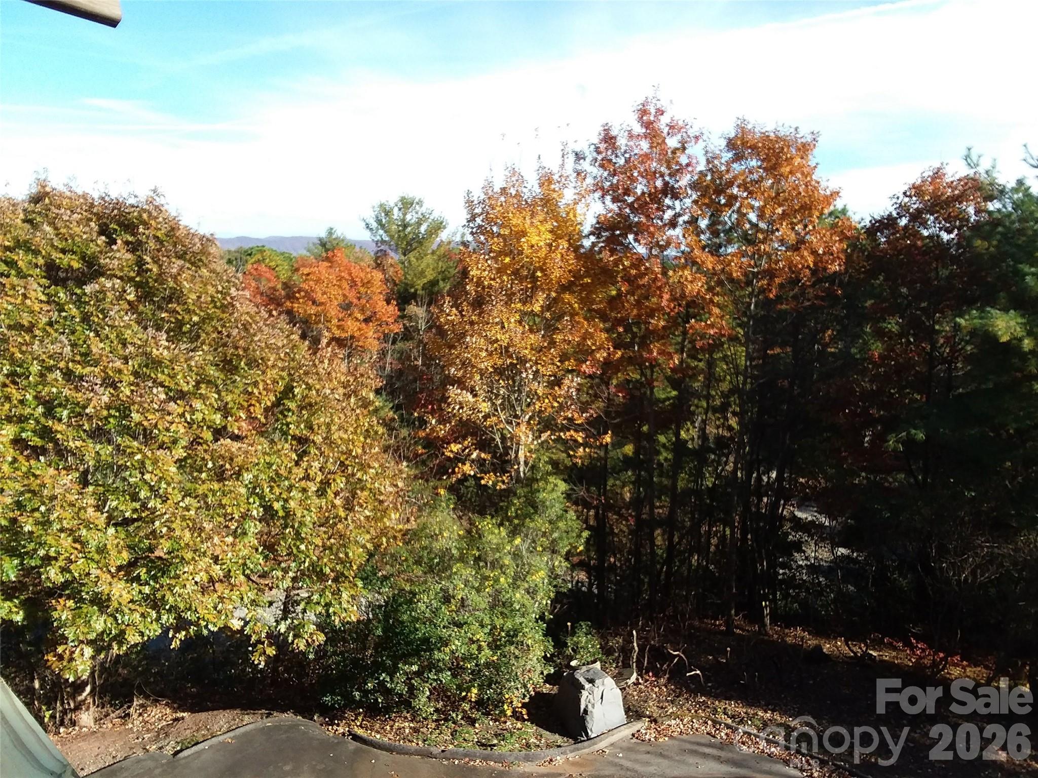 97 Toxaway Views Drive 704 Property Photo 42
