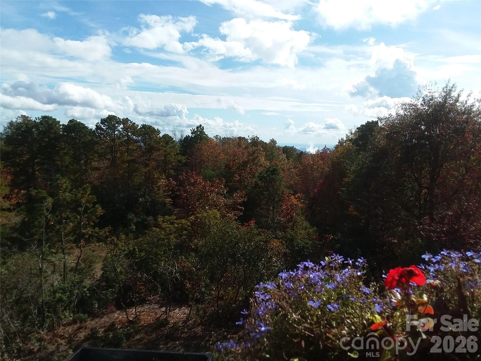 97 Toxaway Views Drive 704 Property Photo 43