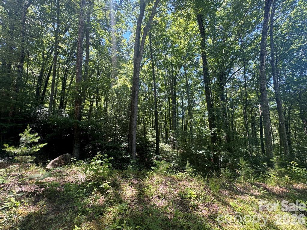 165 N Poplar Drive Property Photo 1