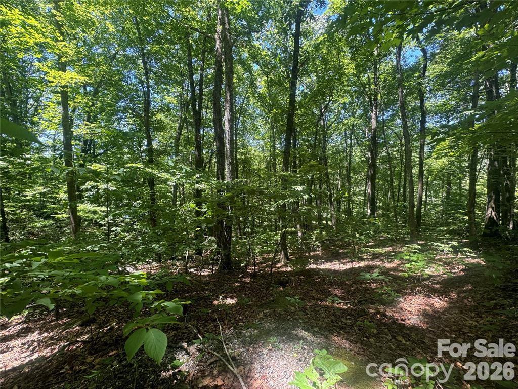 165 N Poplar Drive Property Photo 2