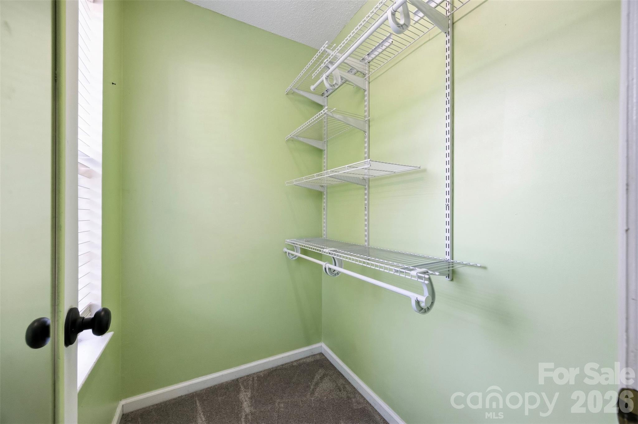 10409 Northwoods Forest Drive 31/12 Property Photo 19