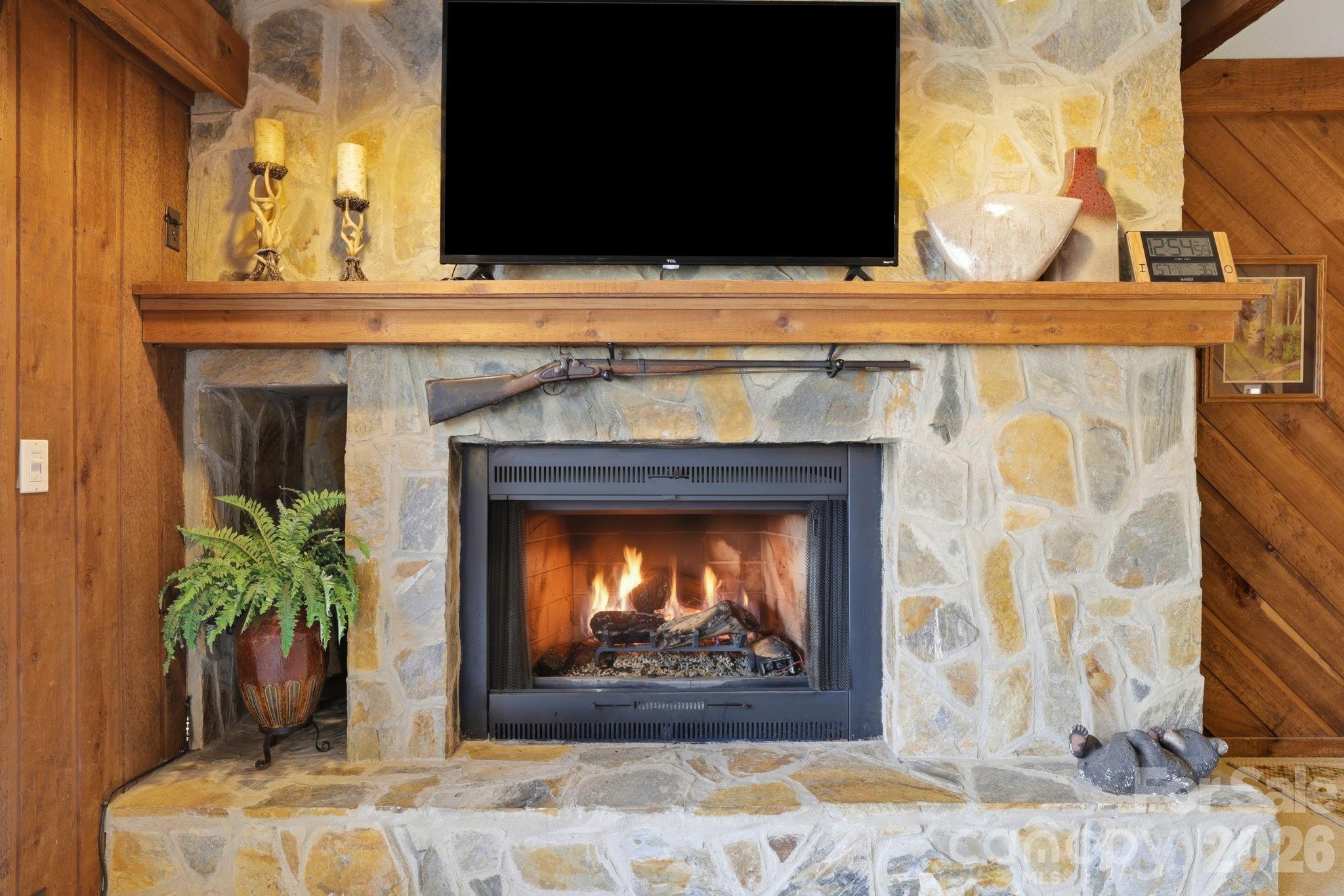221 Toxaway Falls Drive 1 Property Photo 2
