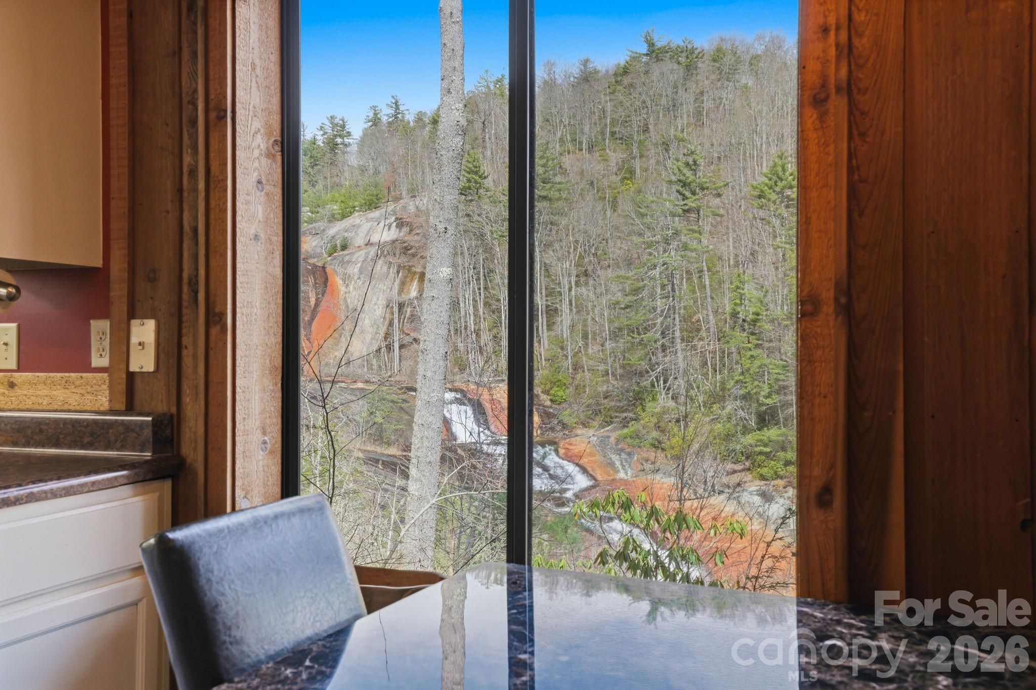 221 Toxaway Falls Drive 1 Property Photo 12