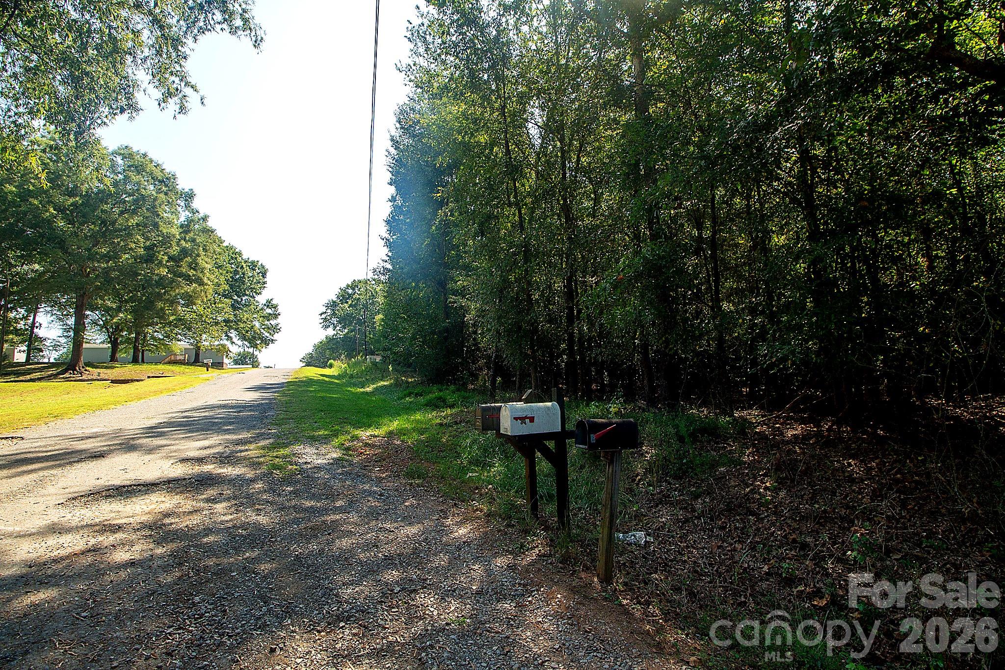 217 Ridgewood Street Property Photo 5