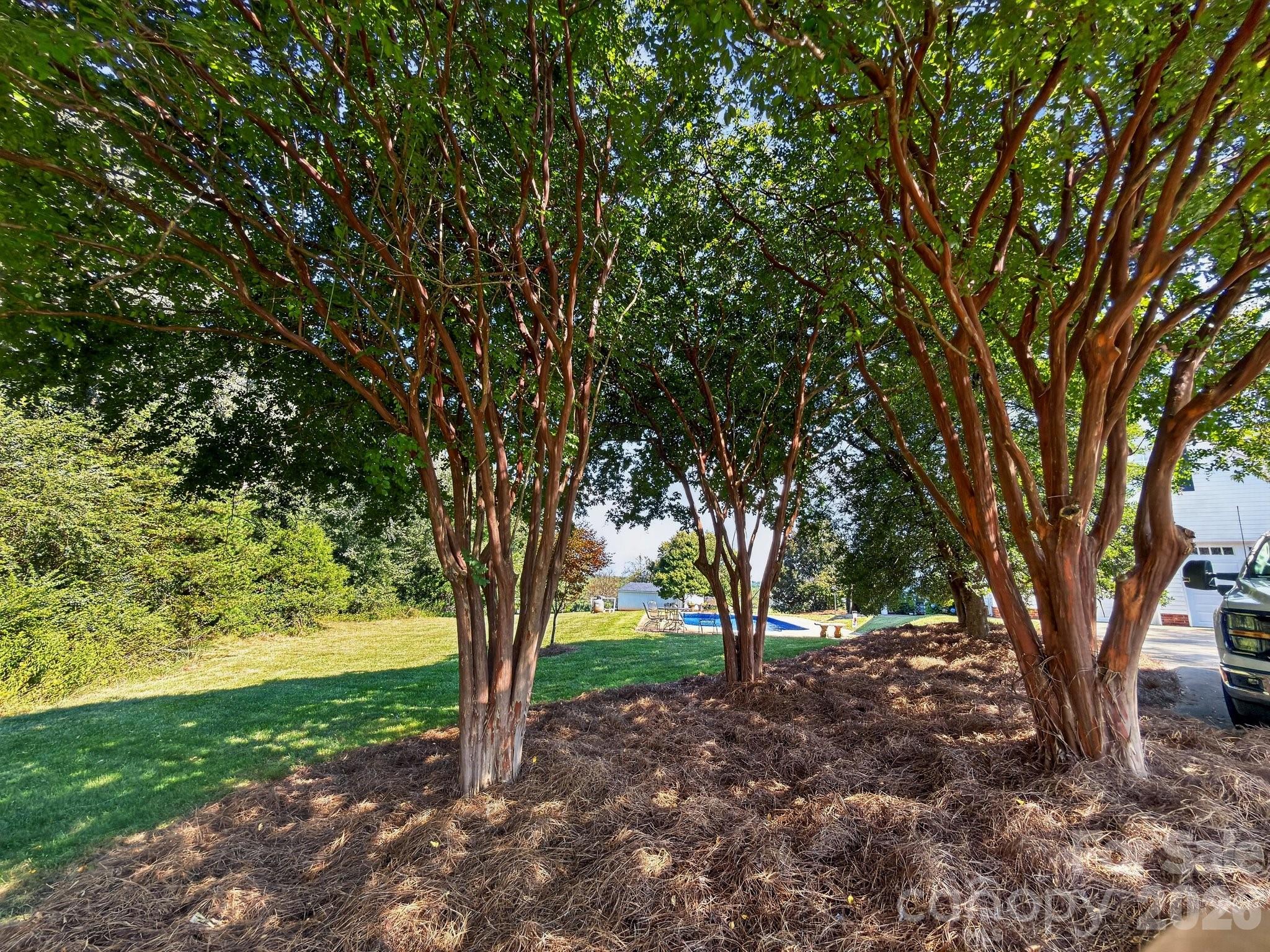 1186 Morningstar Lake Road Property Photo 5