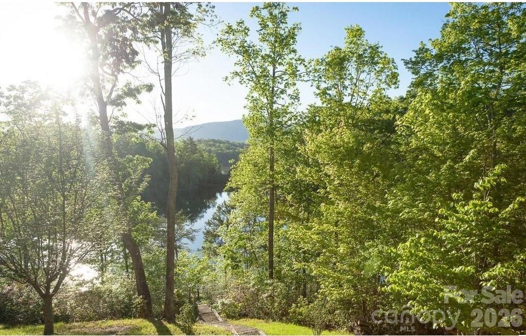 1237 South Cove Road Property Photo 37