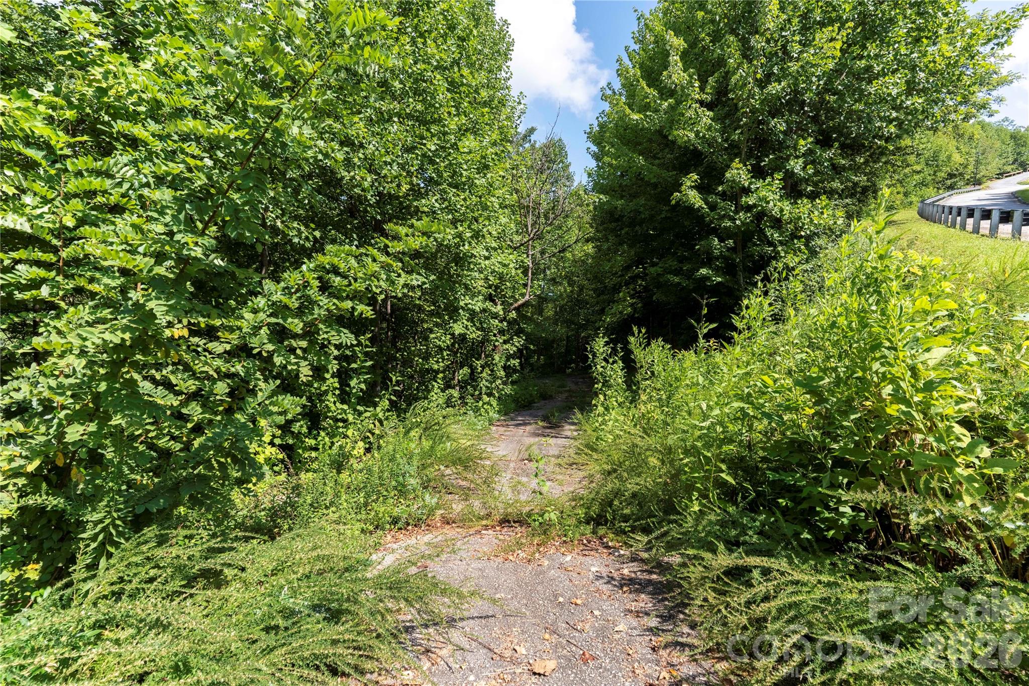 0 High Pines Loop 139 Property Photo 15
