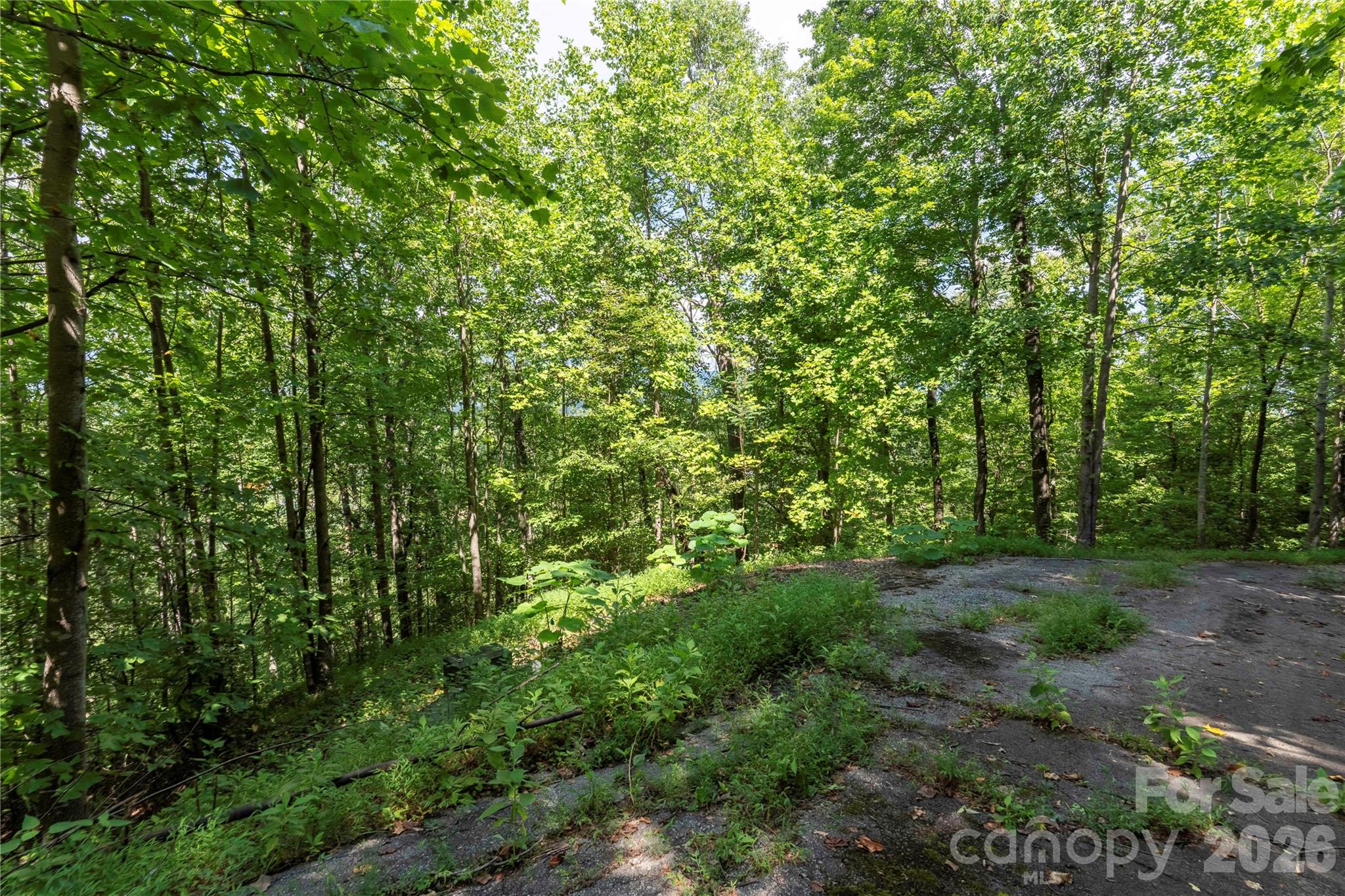 0 High Pines Loop 139 Property Photo 18