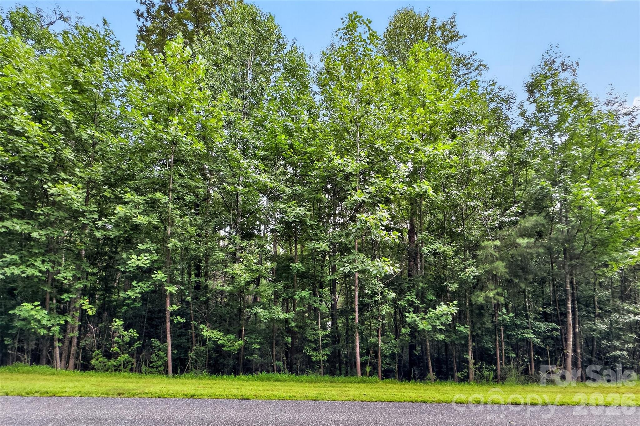 360 Harborside Drive Property Photo 3