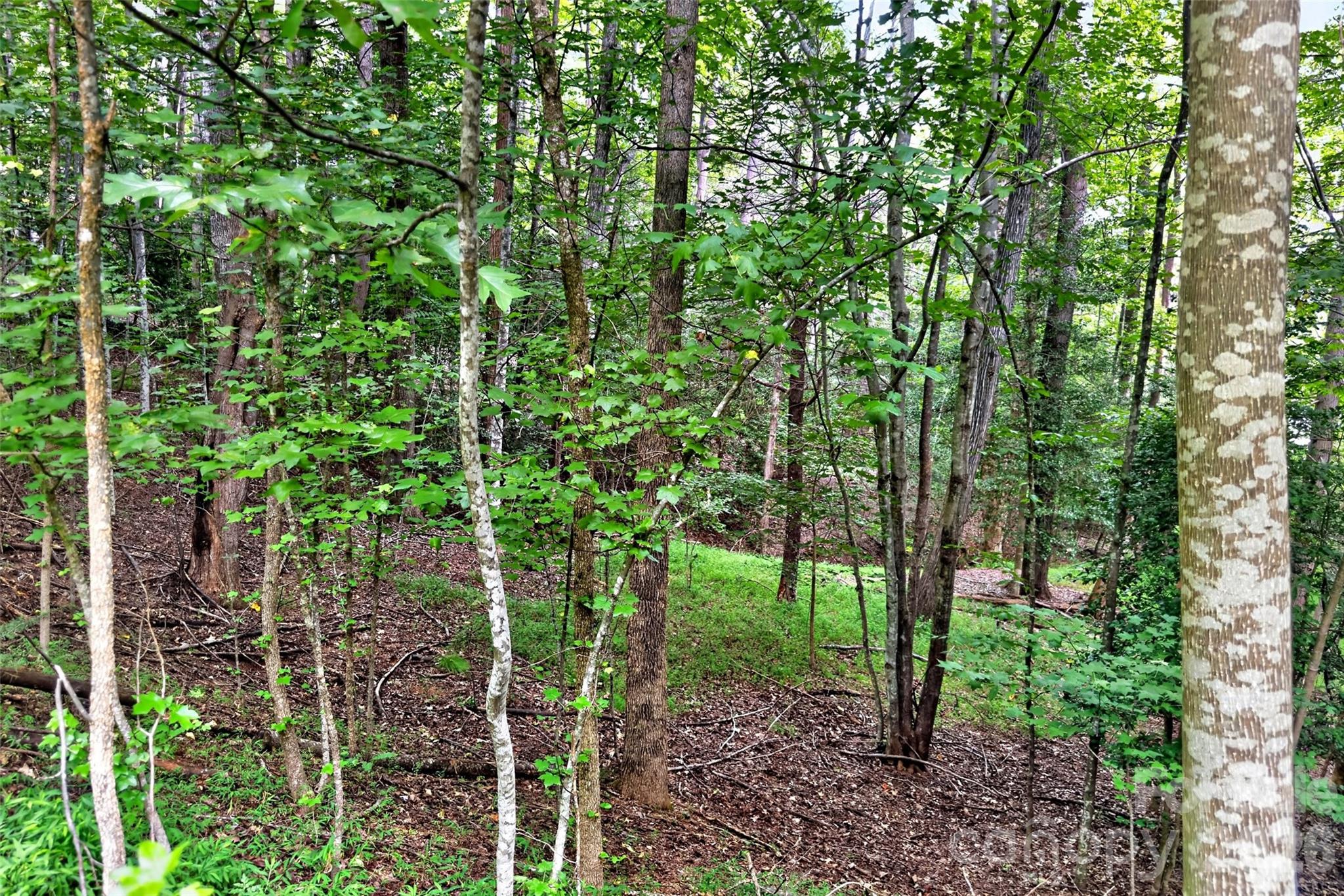 360 Harborside Drive Property Photo 6