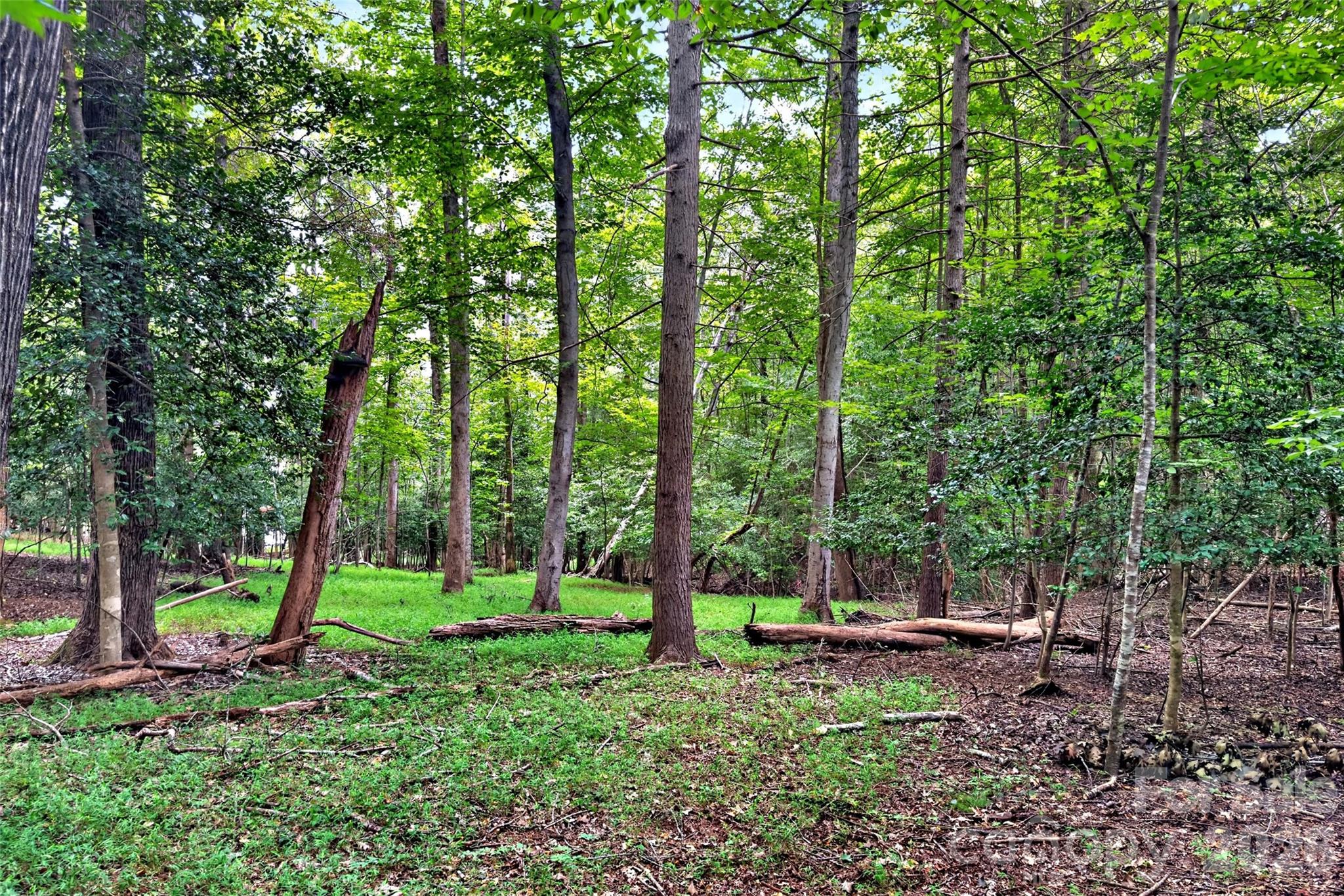 360 Harborside Drive Property Photo 7