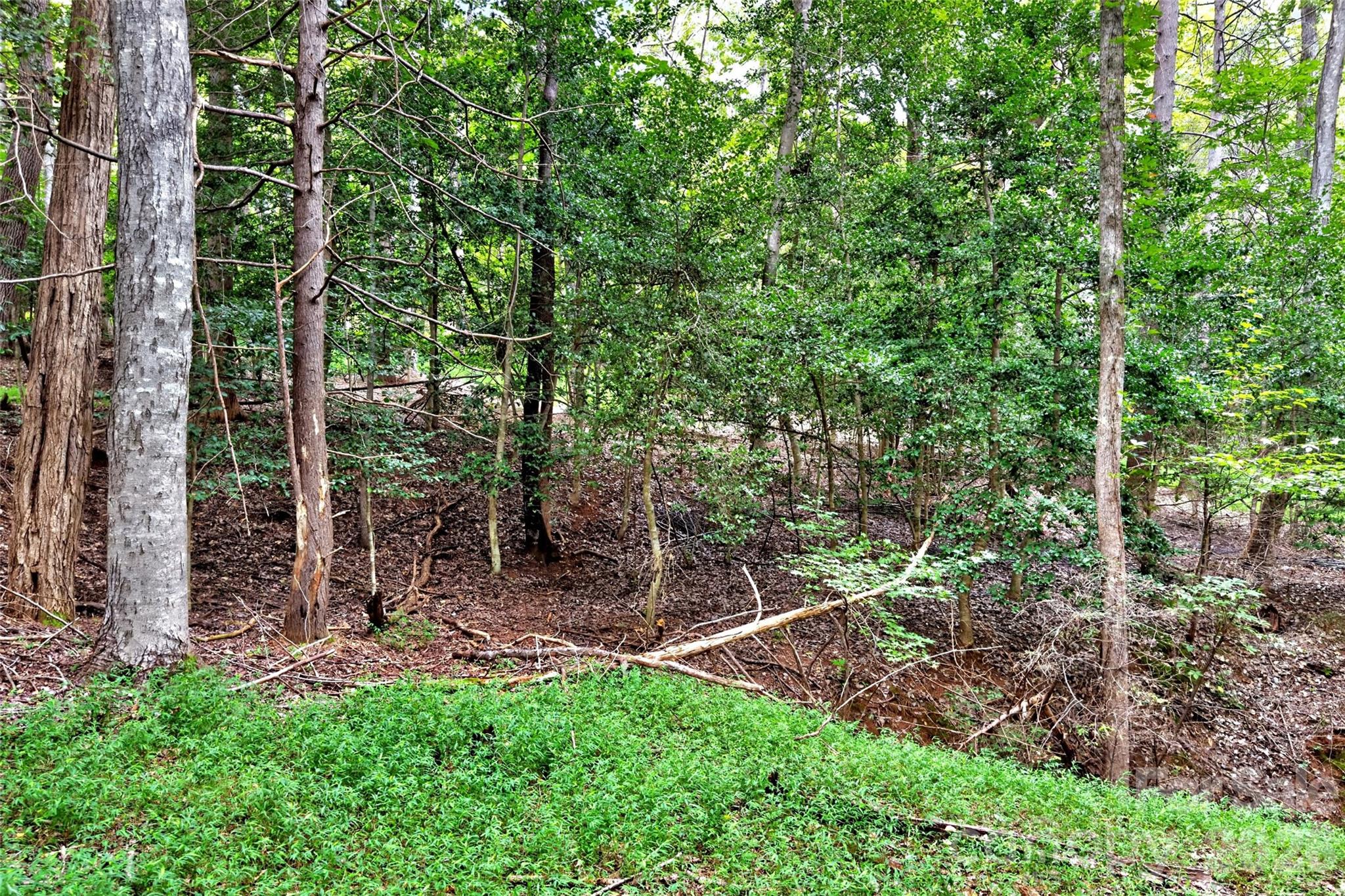 360 Harborside Drive Property Photo 8