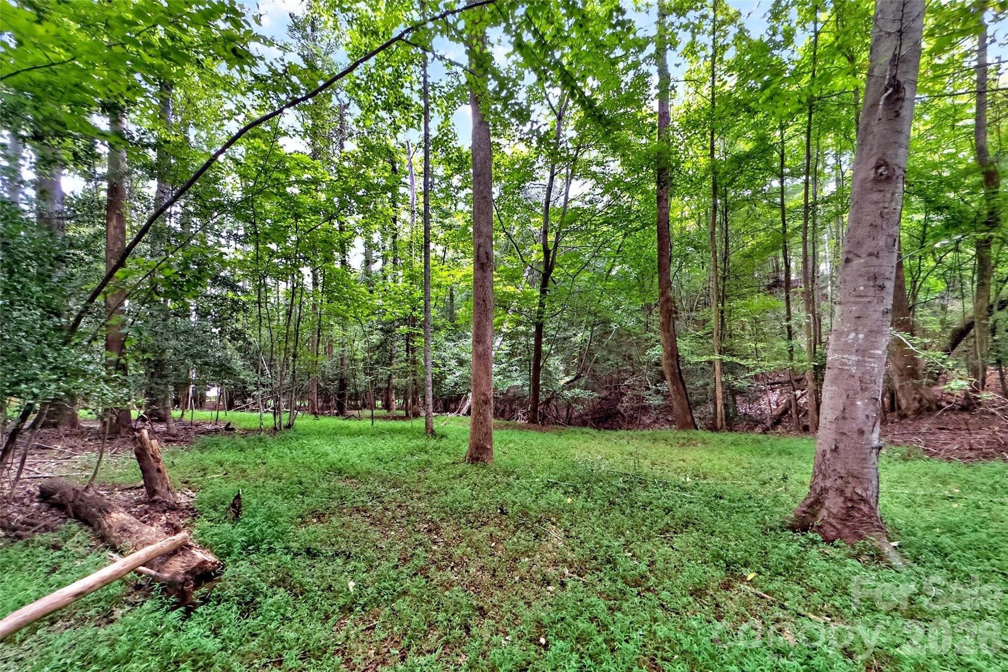 360 Harborside Drive Property Photo 10