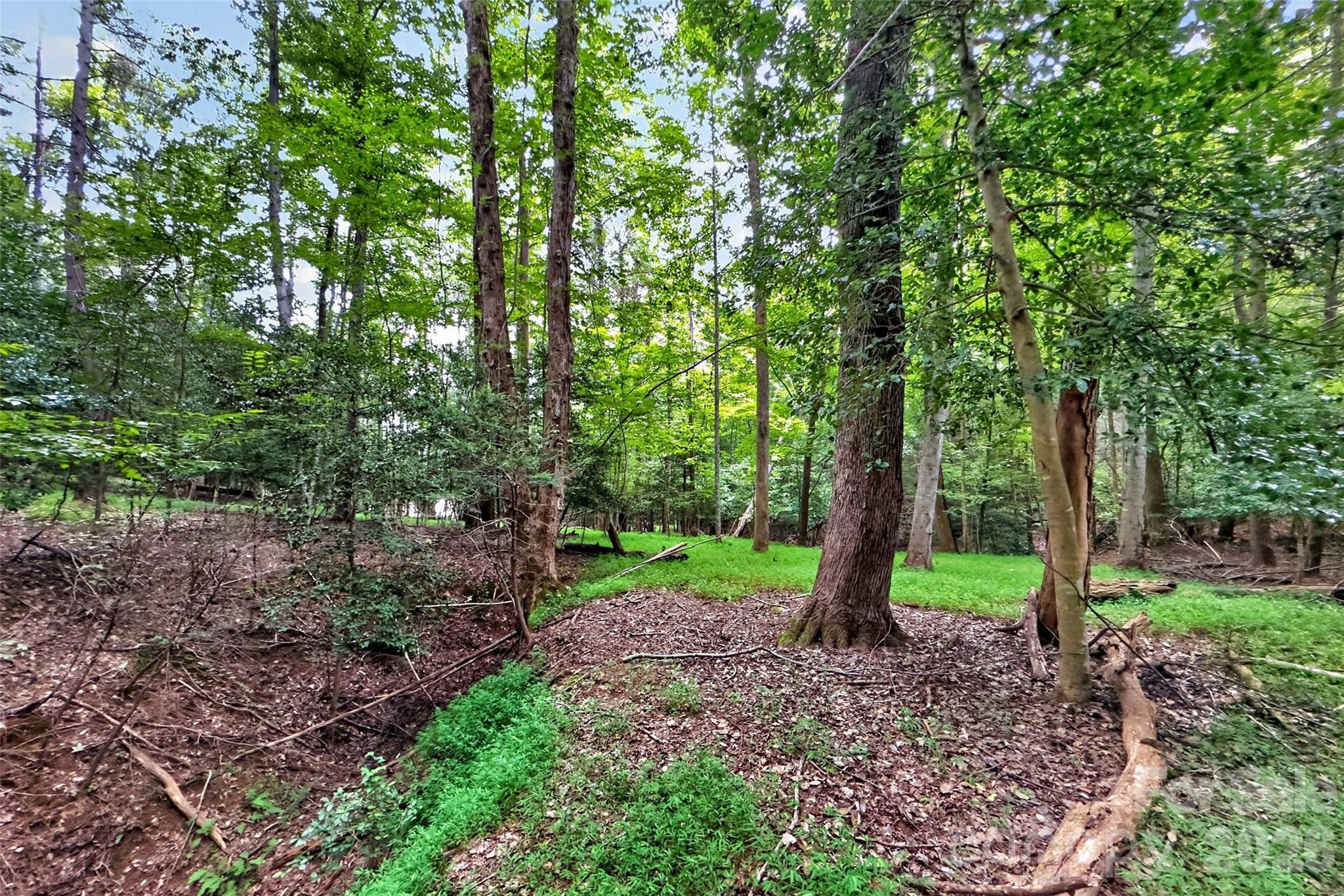 360 Harborside Drive Property Photo 10