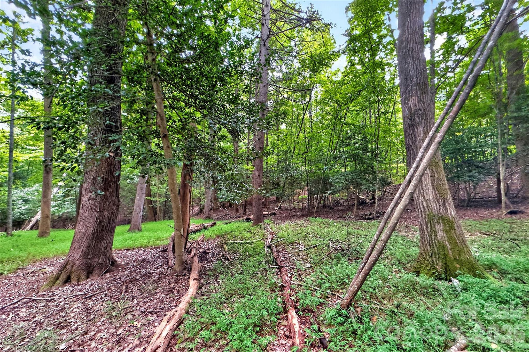 360 Harborside Drive Property Photo 12