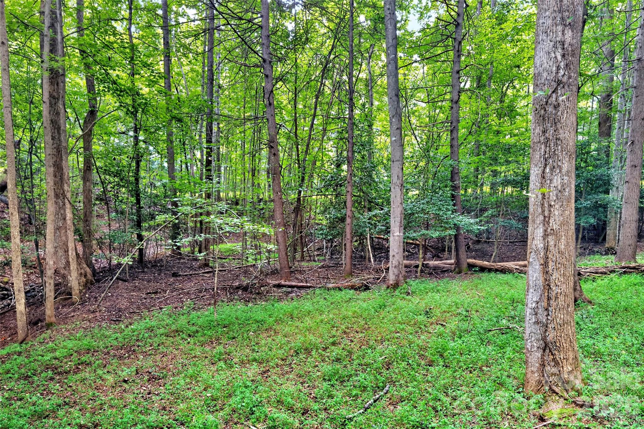 360 Harborside Drive Property Photo 13