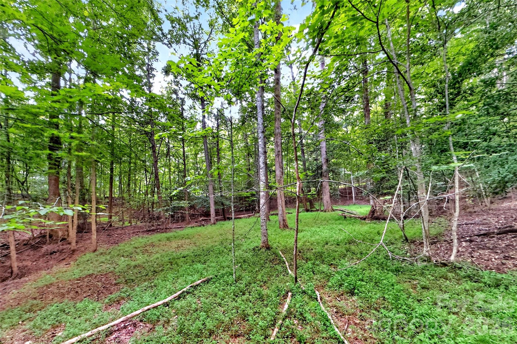 360 Harborside Drive Property Photo 14
