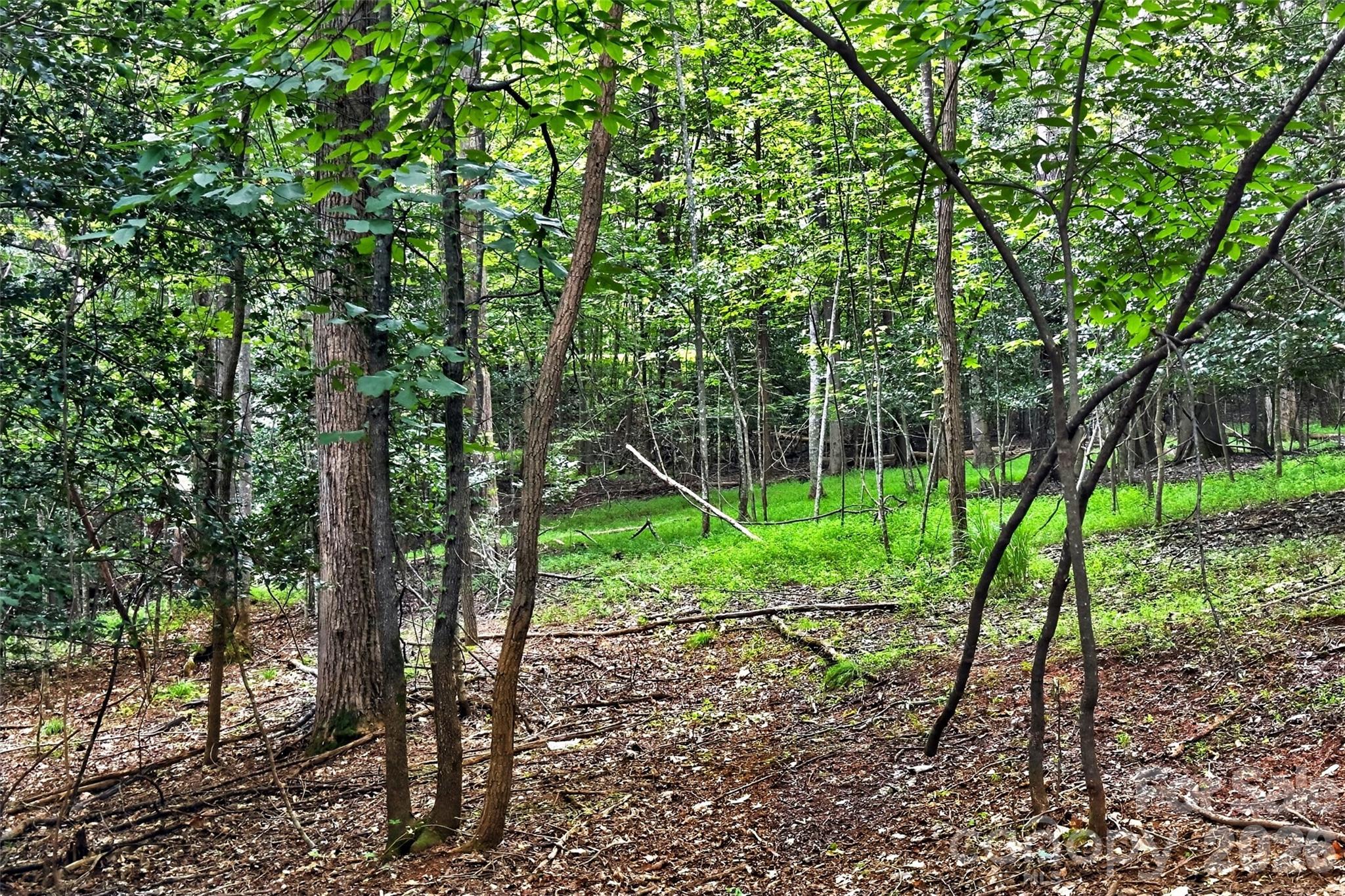 360 Harborside Drive Property Photo 15
